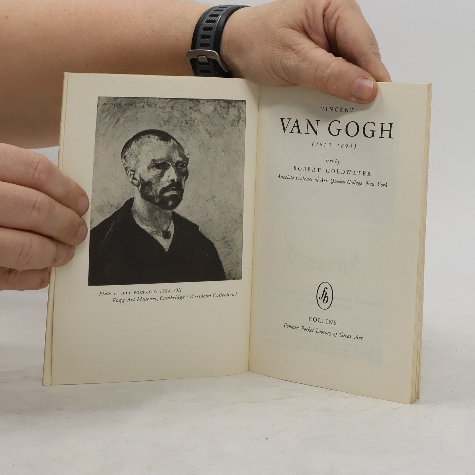 Robert Goldwater Van Gogh