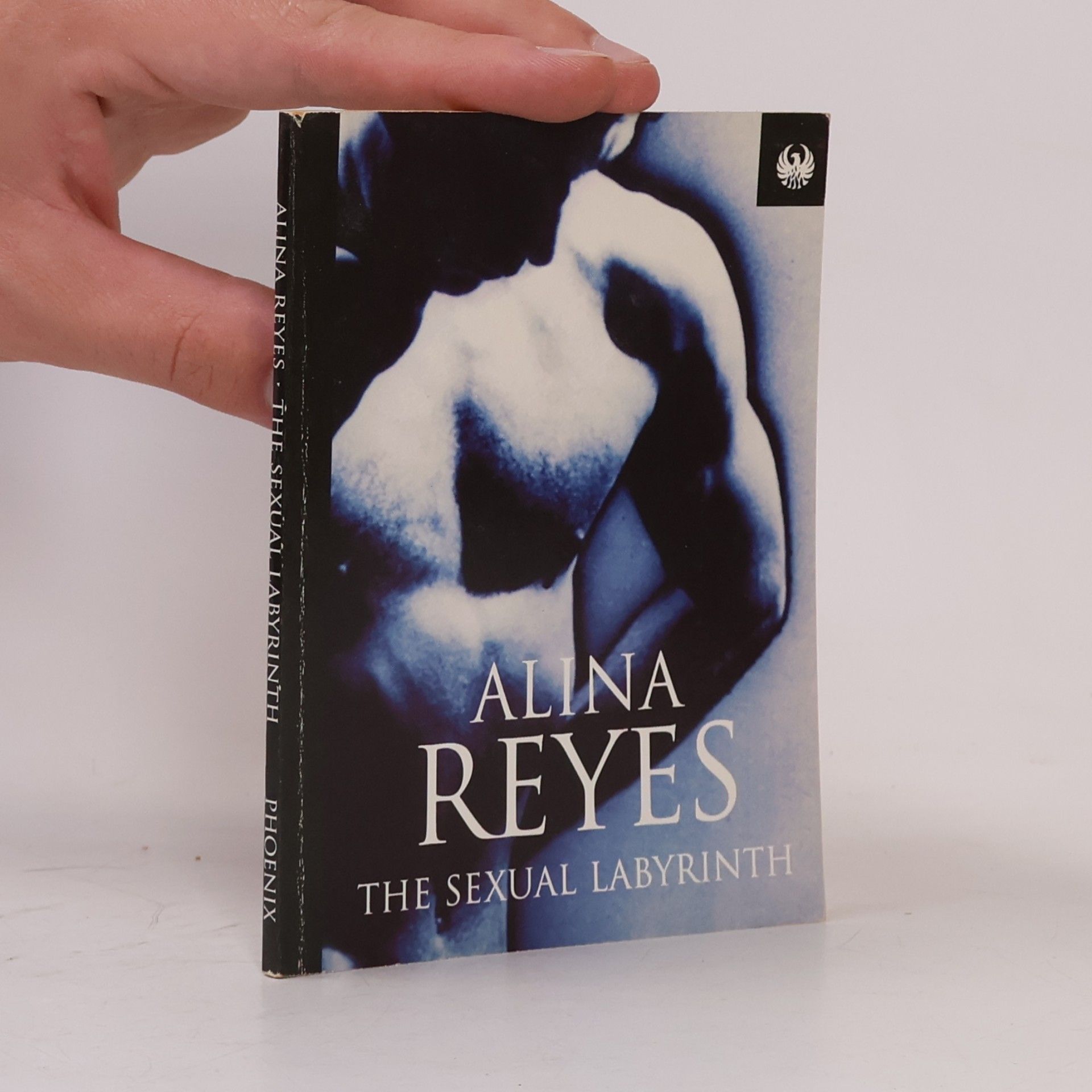 Alina Reyes The Sexual Labyrinth