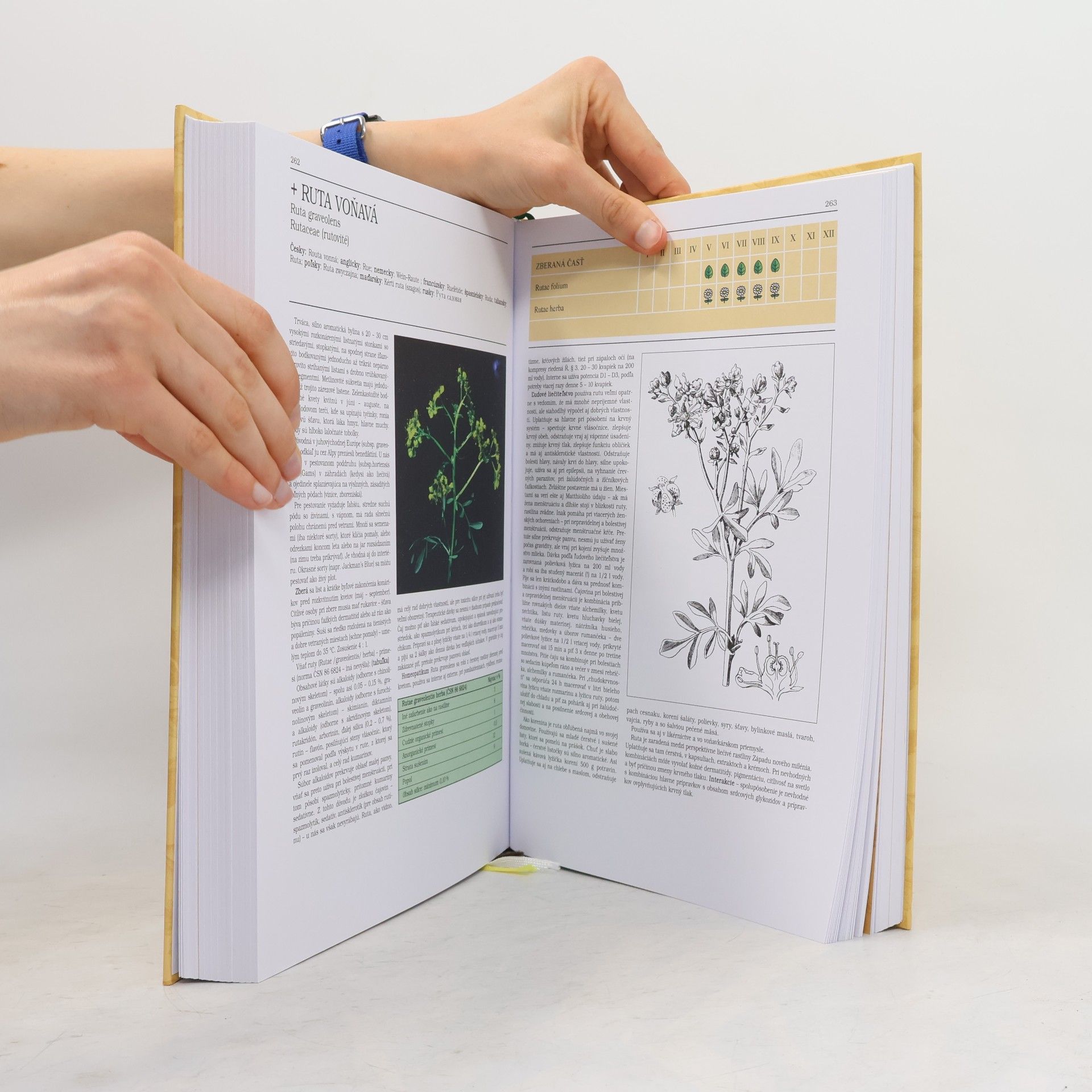 Jindřich Krejča Atlas liečivých rastlín a lesných plodov