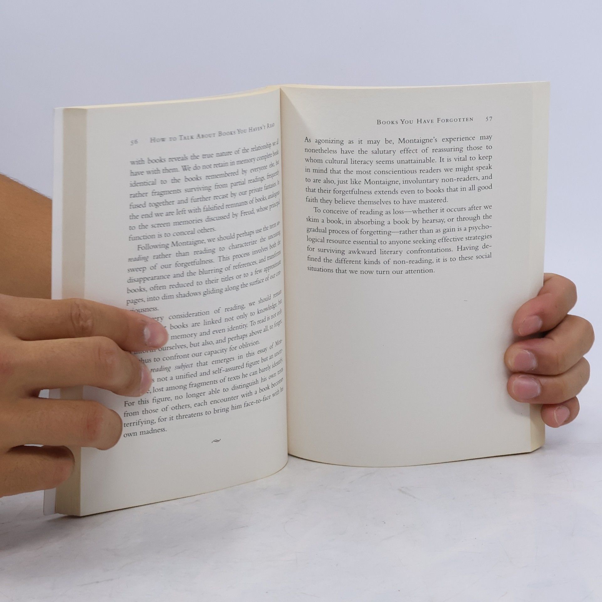 Pierre Bayard How to Talk About Books You Haven't Read