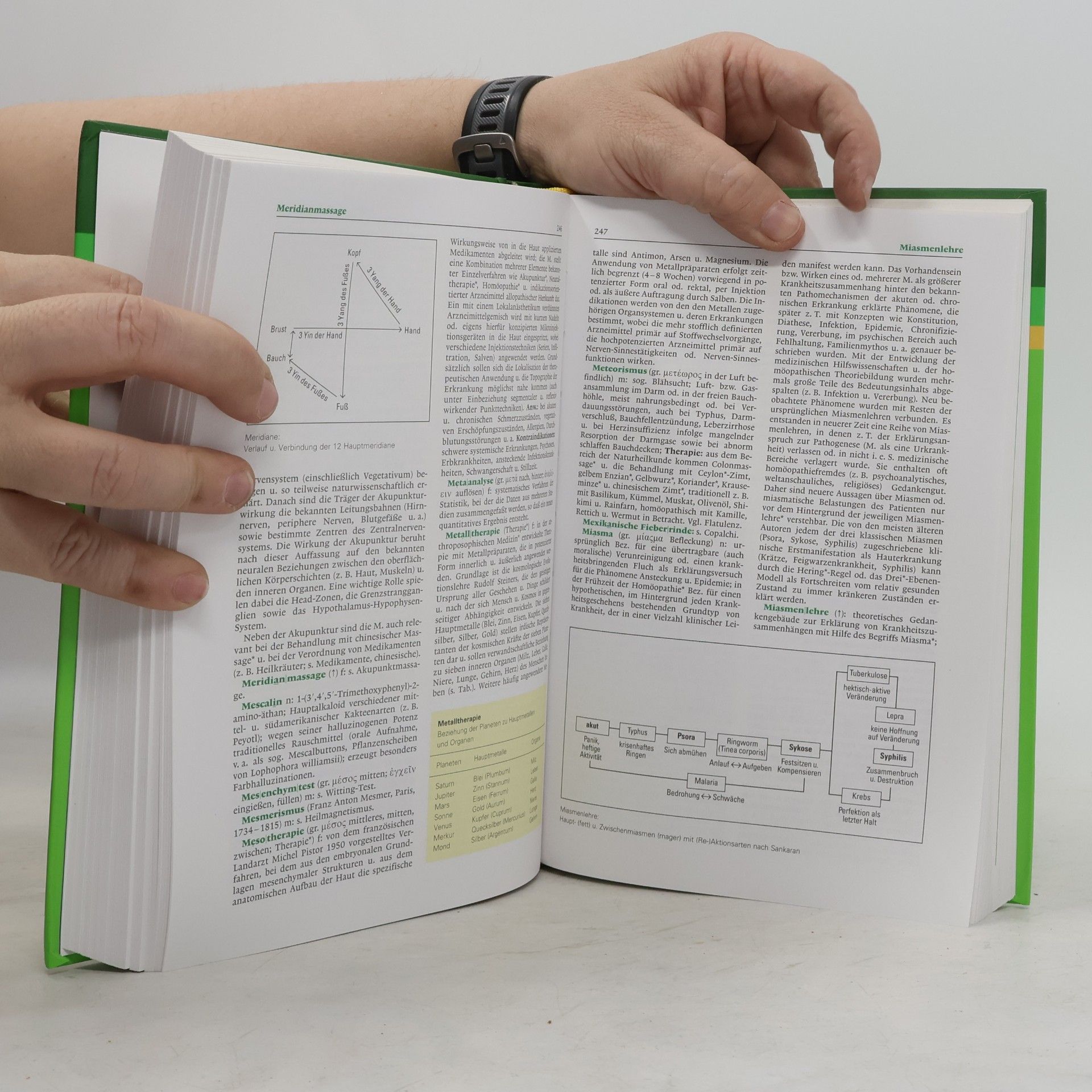 Willibald Pschyrembel Pschyrembel Wörterbuch Naturheilkunde und alternative Heilverfahren