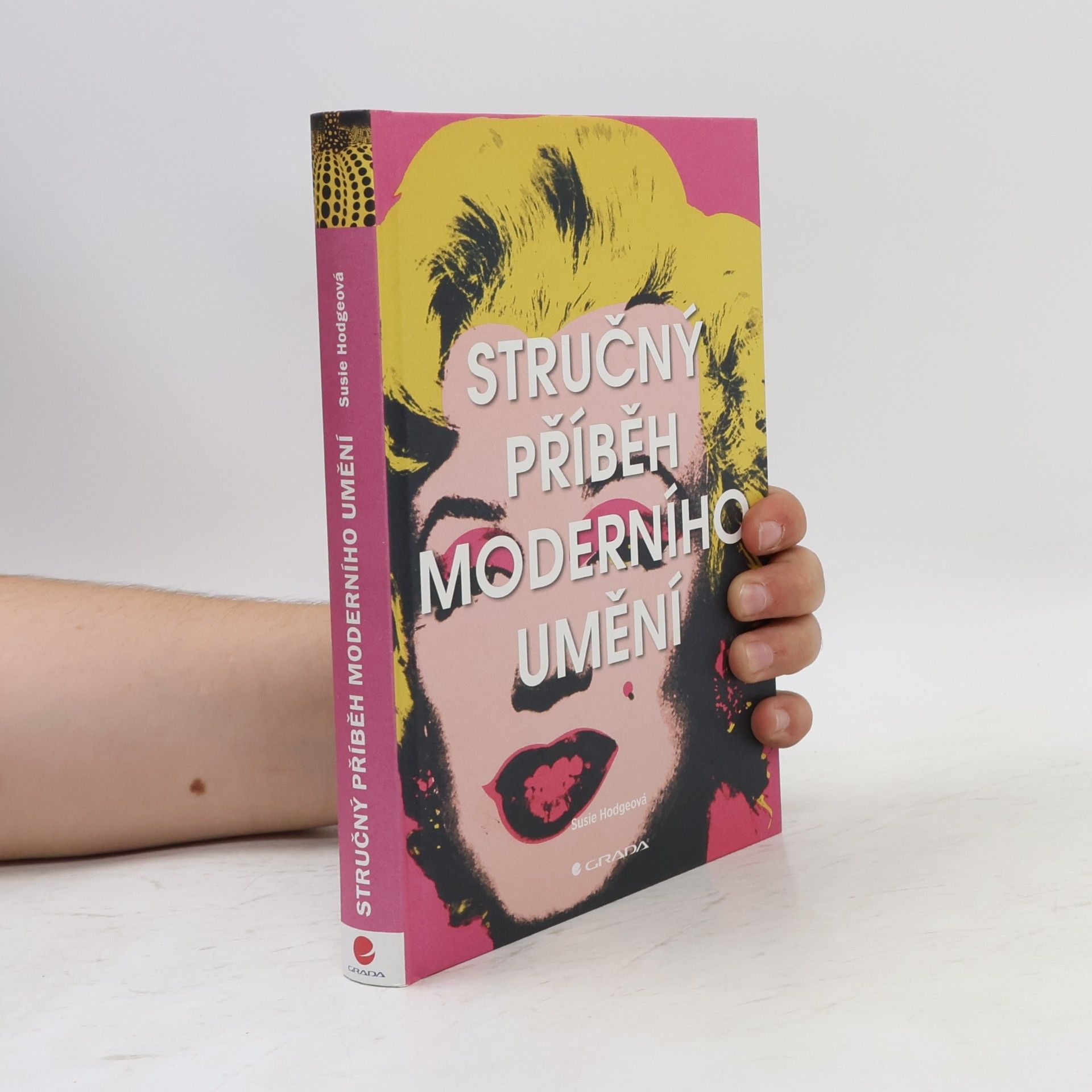 Susie Hodge Stručný příběh moderního umění