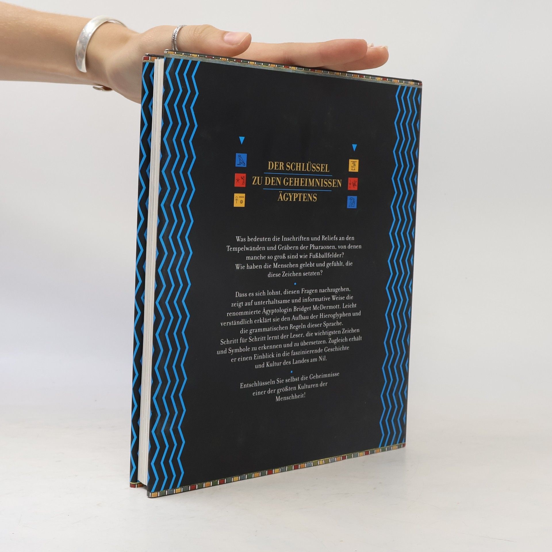 Bridget McDermott Die Hieroglyphen entschlüsselt