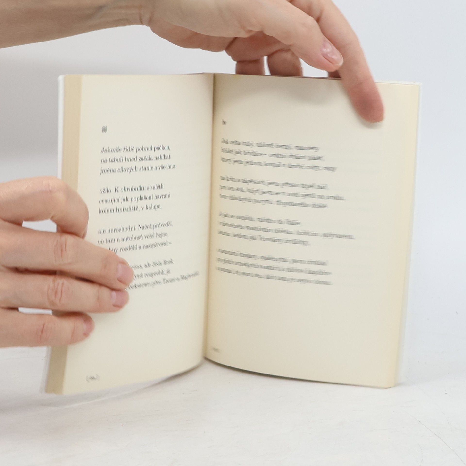 Seamus Heaney Lidský řetěz