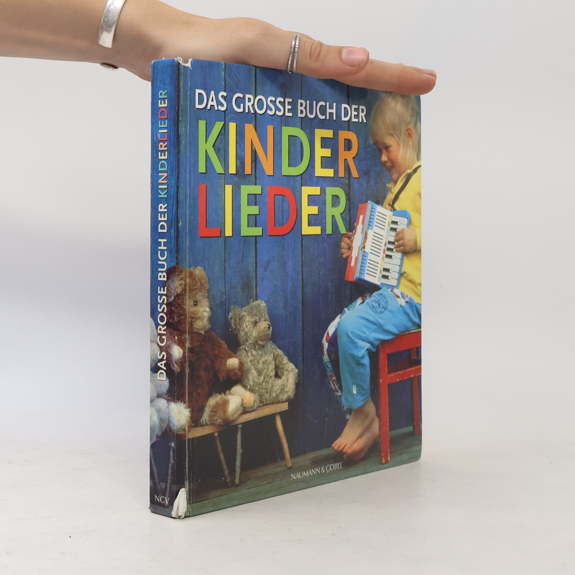 Siegmund Helms Das grosse Buch der Kinderlieder