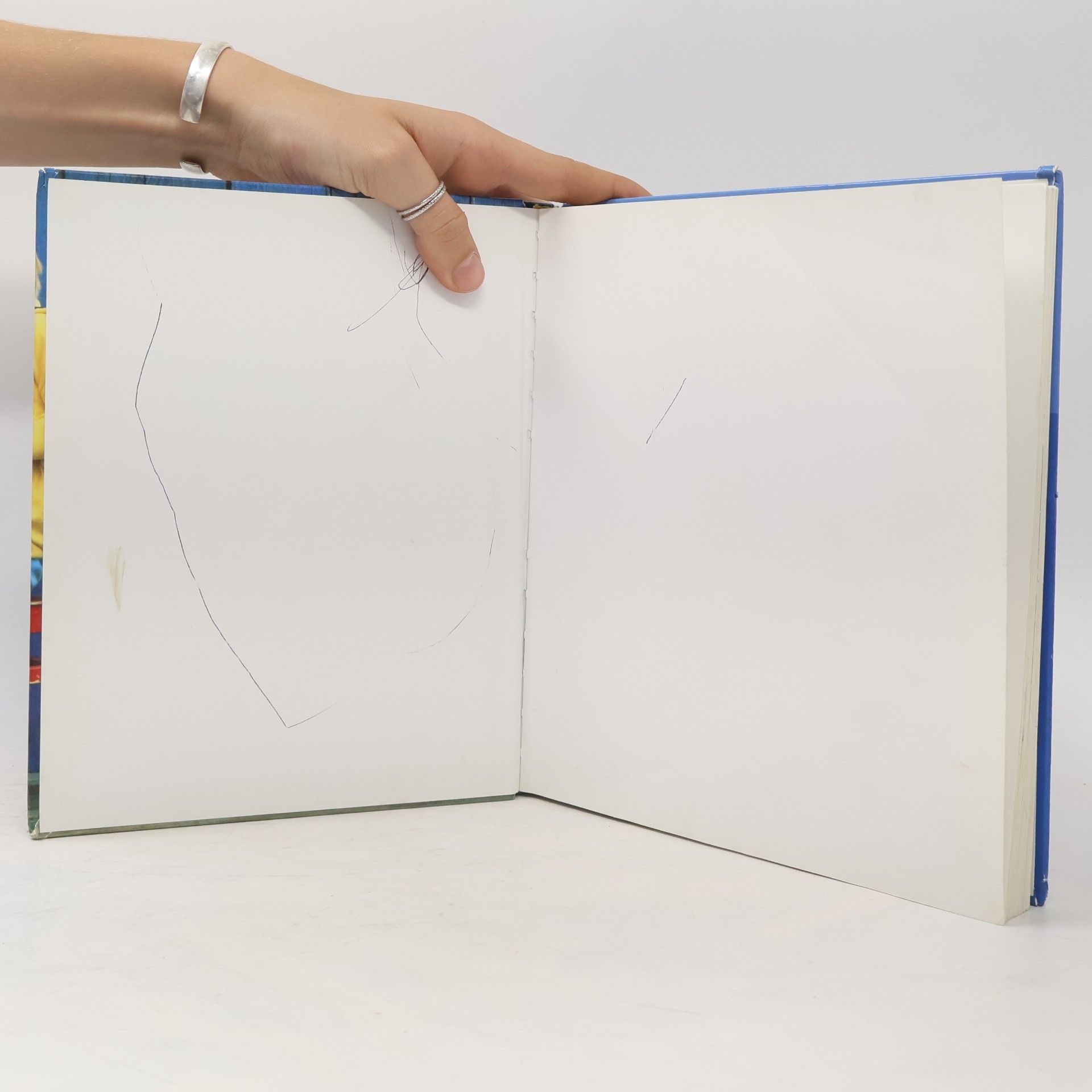 Siegmund Helms Das grosse Buch der Kinderlieder
