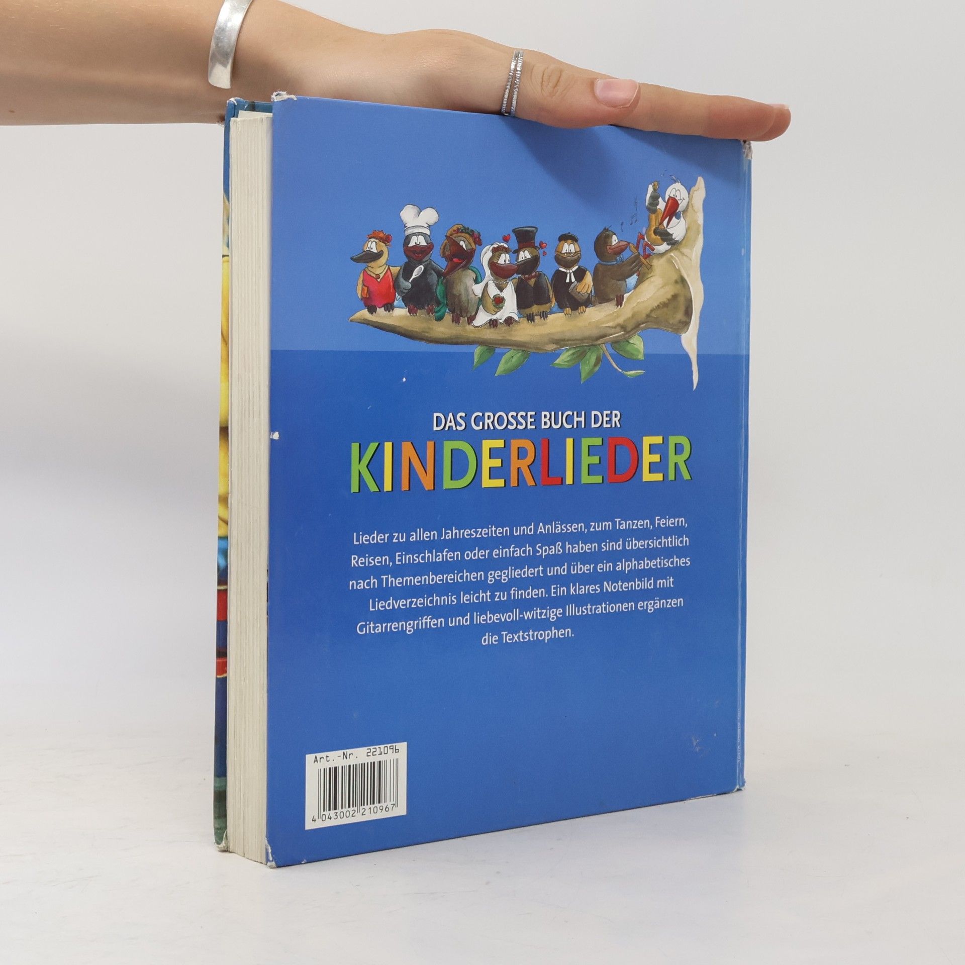 Siegmund Helms Das grosse Buch der Kinderlieder