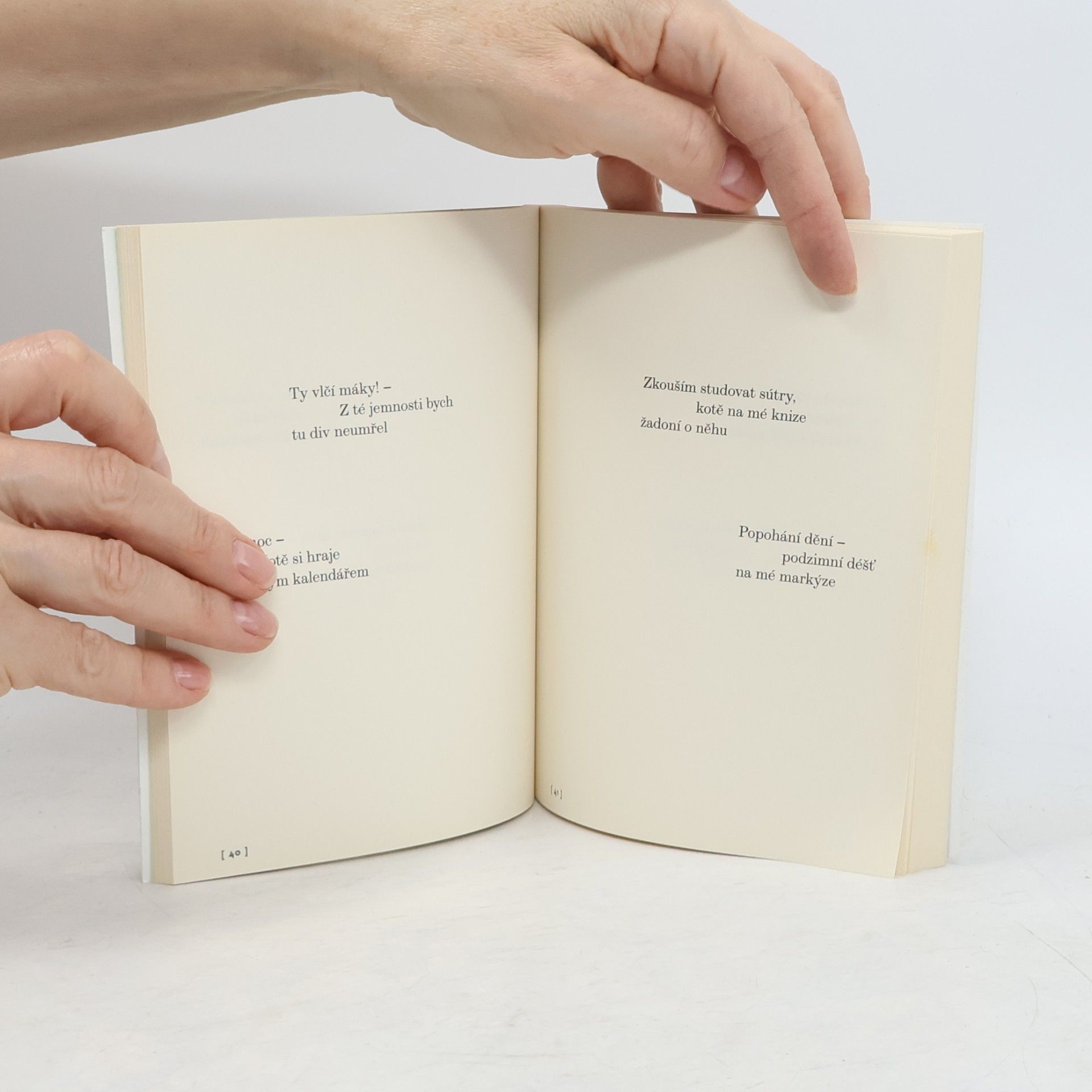 Jack Kerouac Kniha haiku
