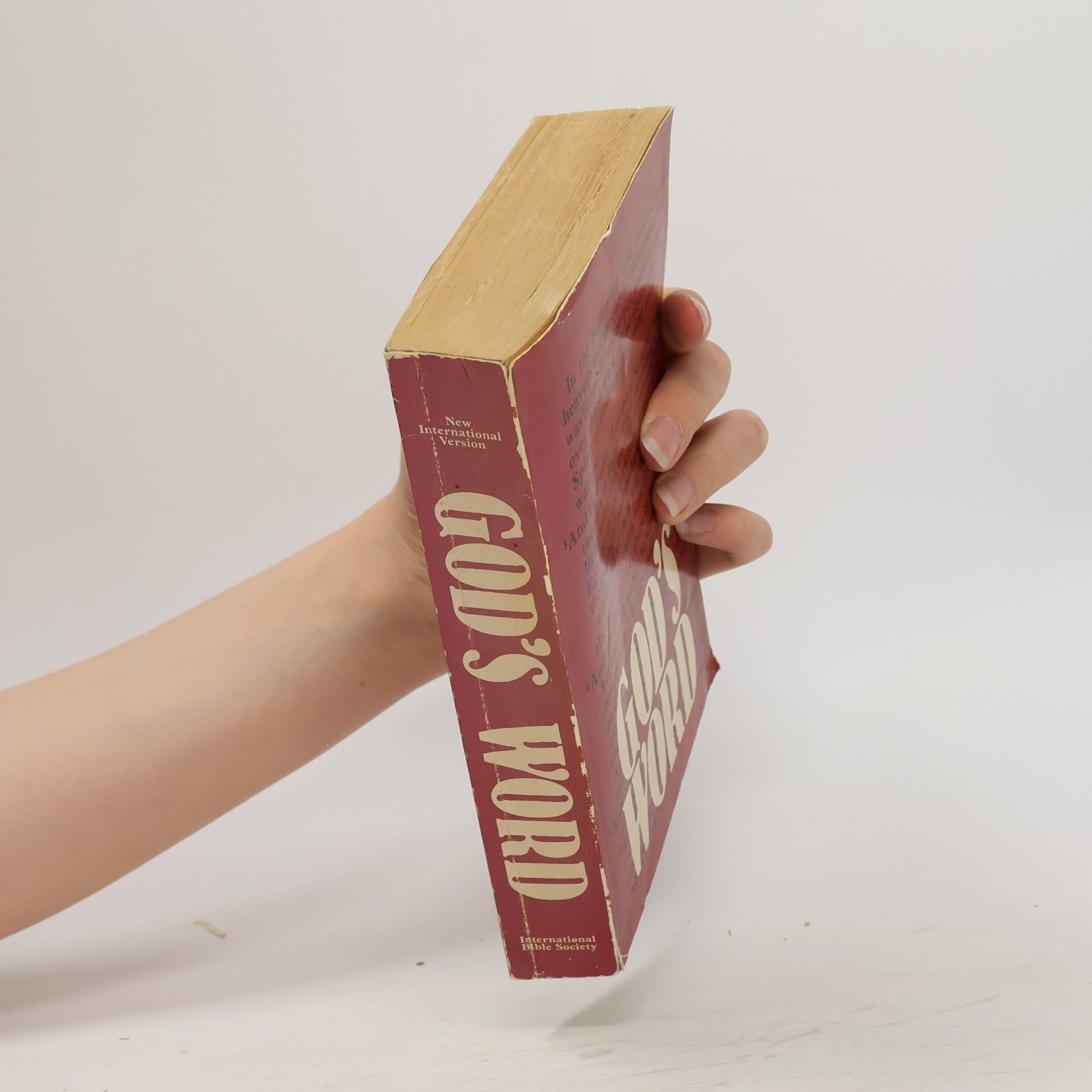 Autorenkollektiv God's Word