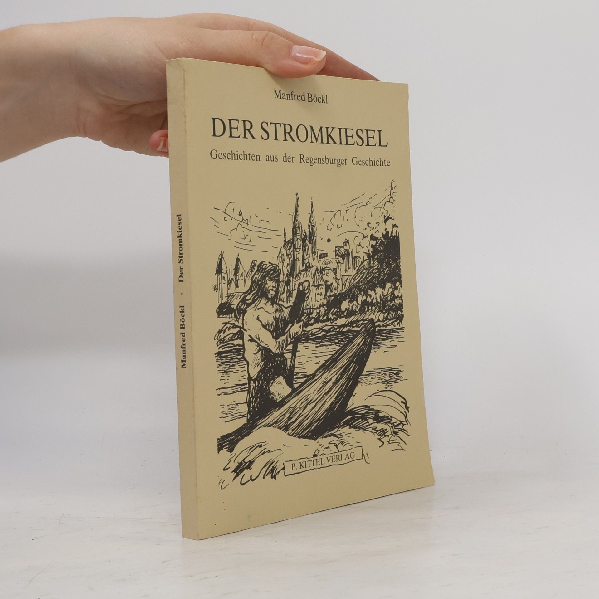 Der Stromkiesel. Geschichten aus der Regensburger Geschichte