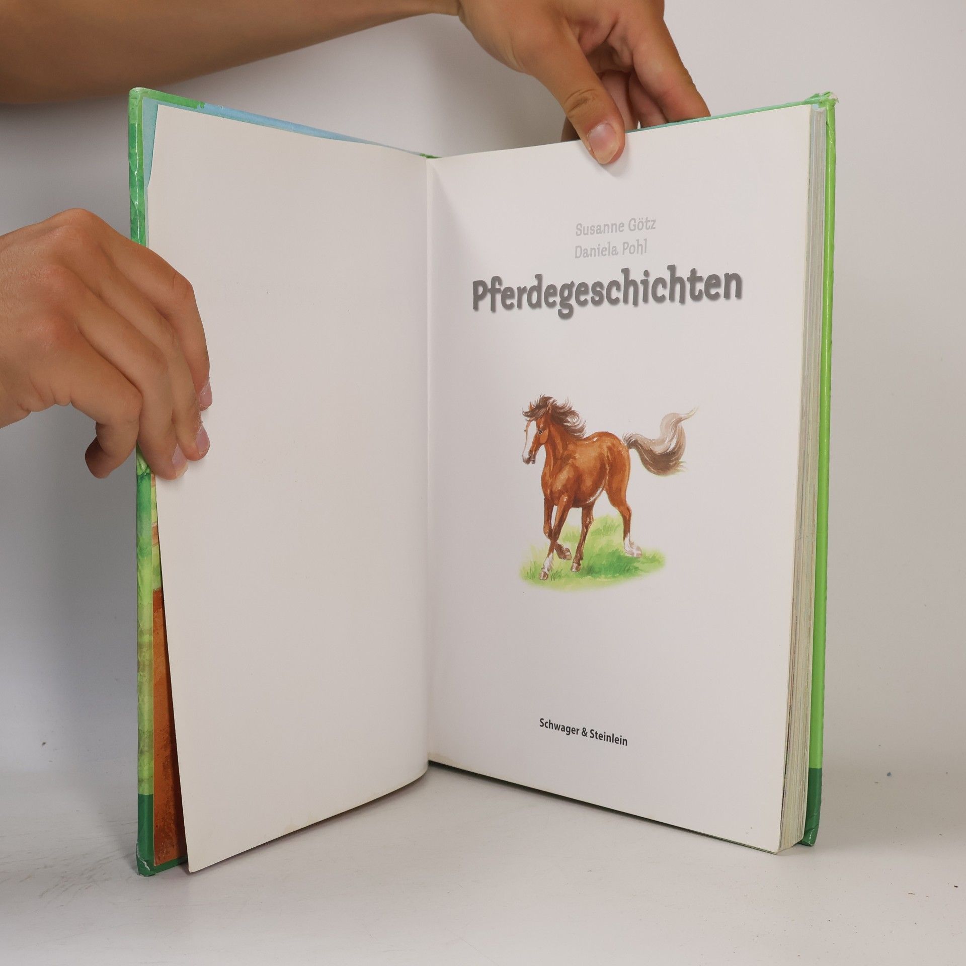 Susanne Götz Pferdegeschichten