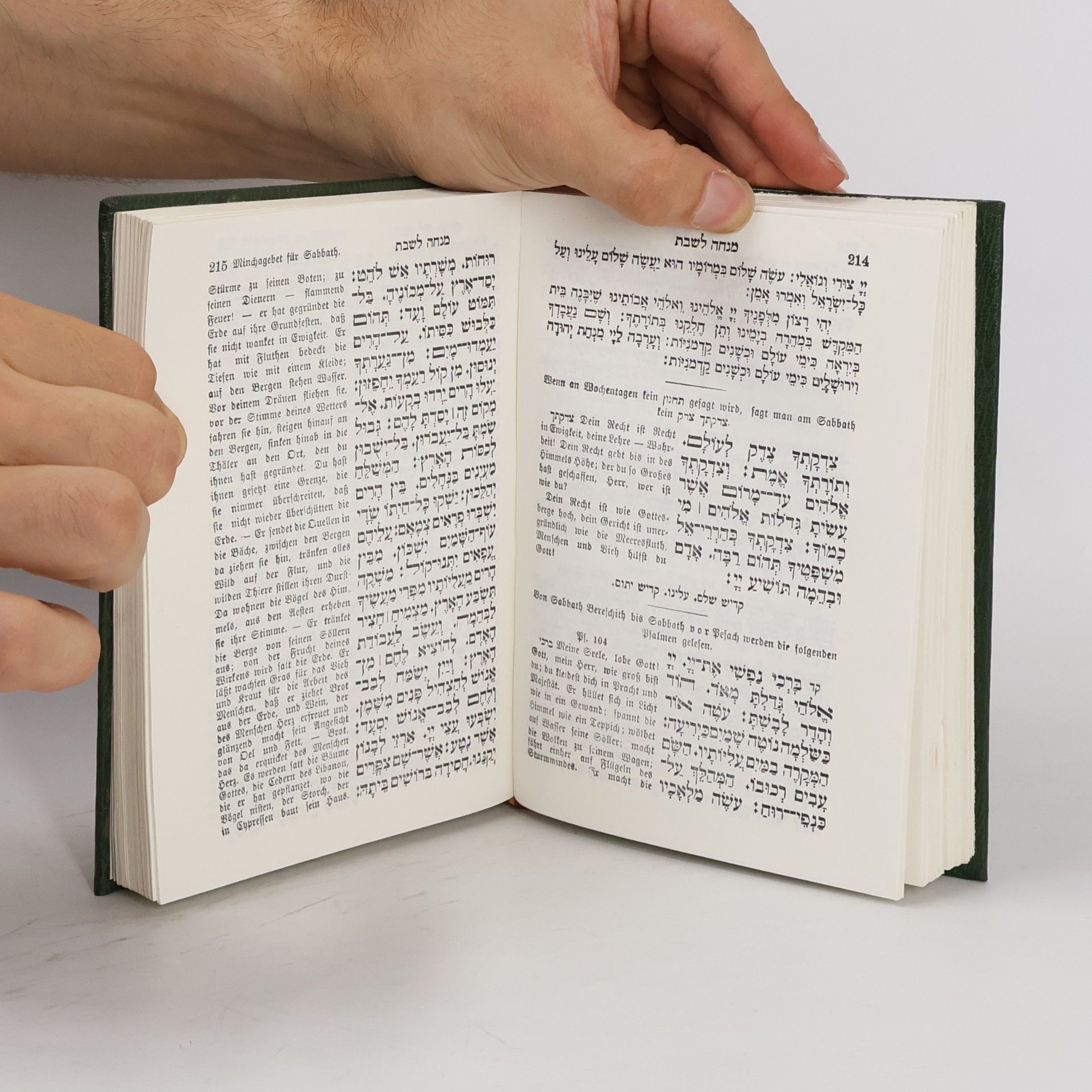 J. N. Mannheimer תפלות ישראל. Gebetbuch der Israeliten
