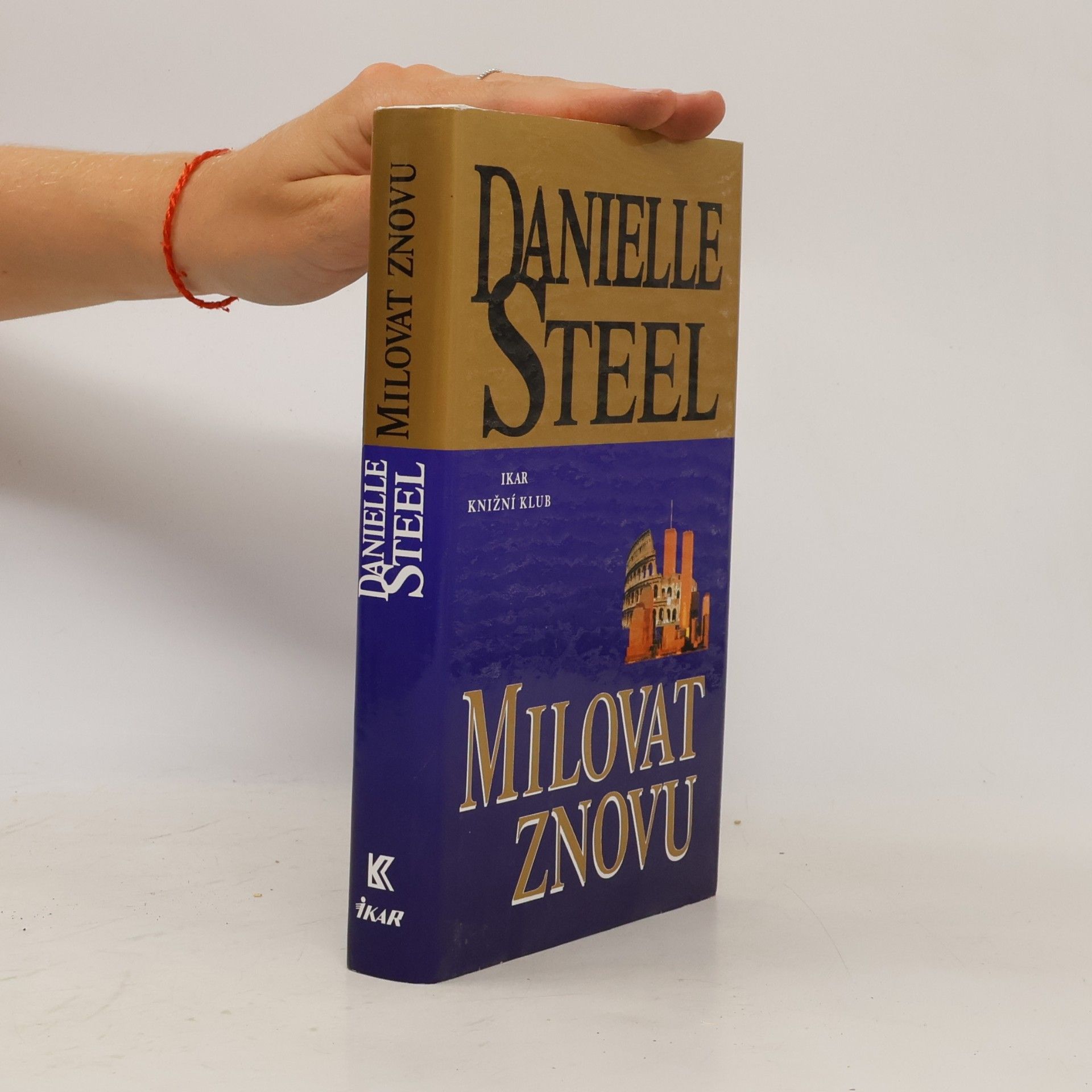 Danielle Steel Milovat znovu