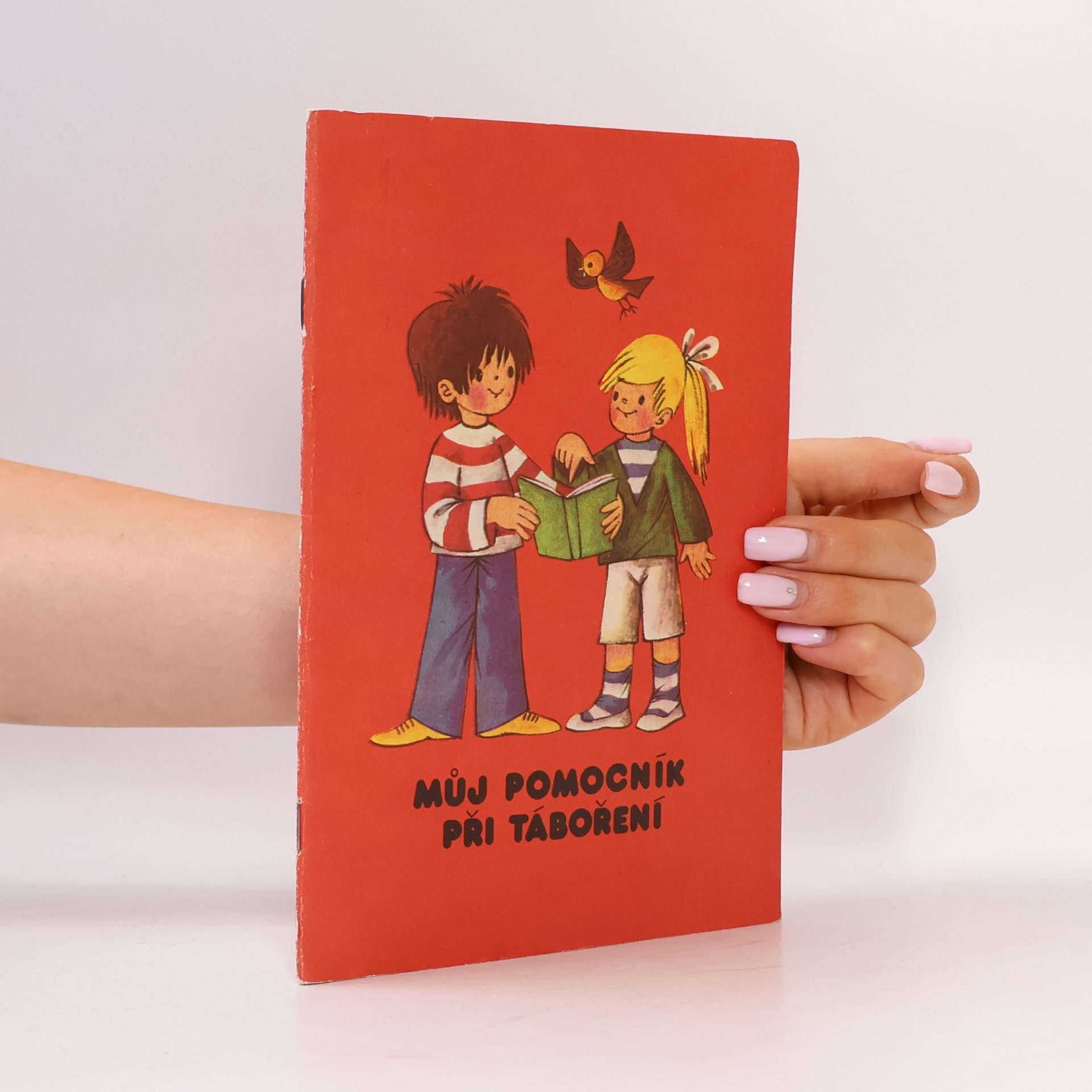 Kolektiv autorů Můj pomocník při táboření