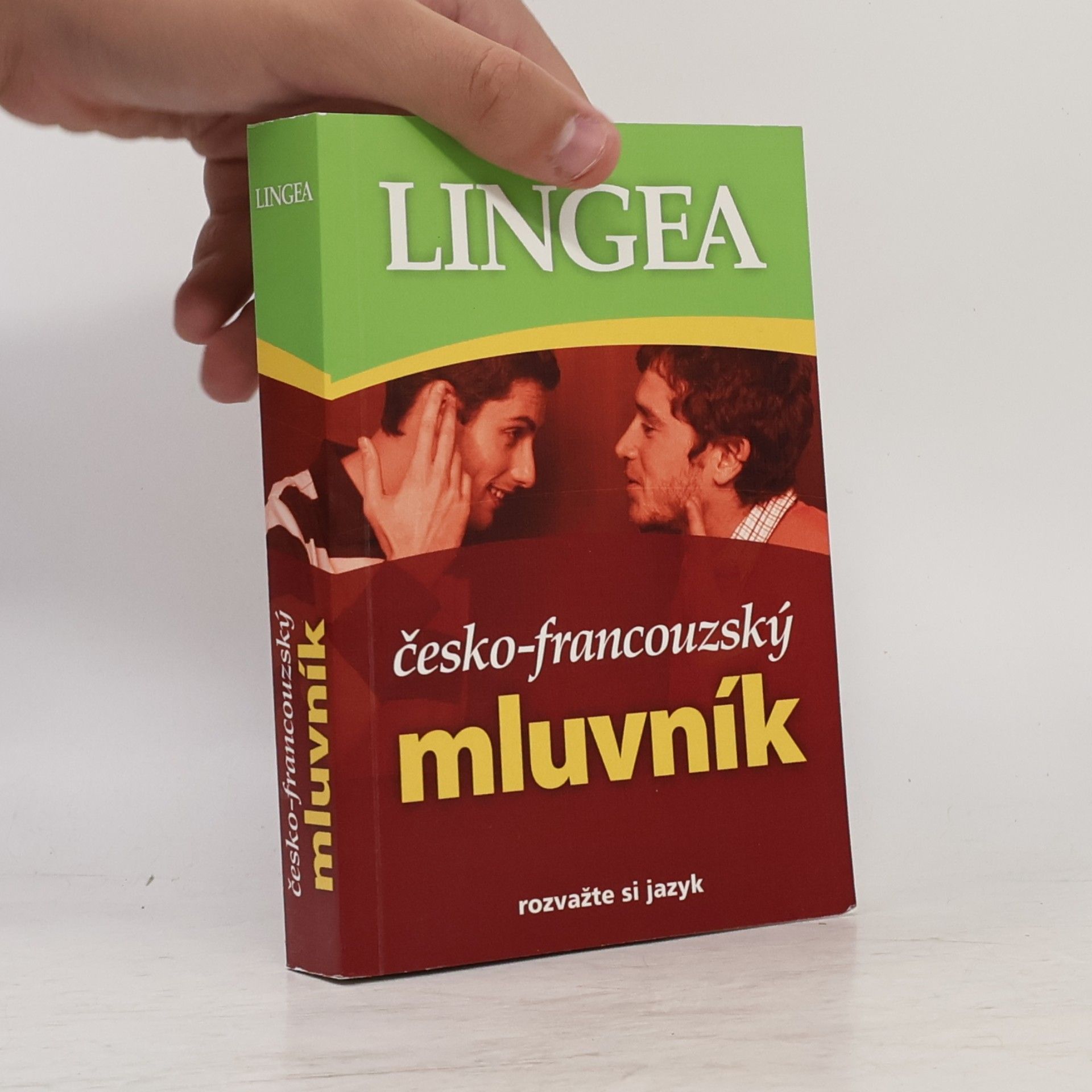 Autorenkollektiv Česko-francouzský mluvník