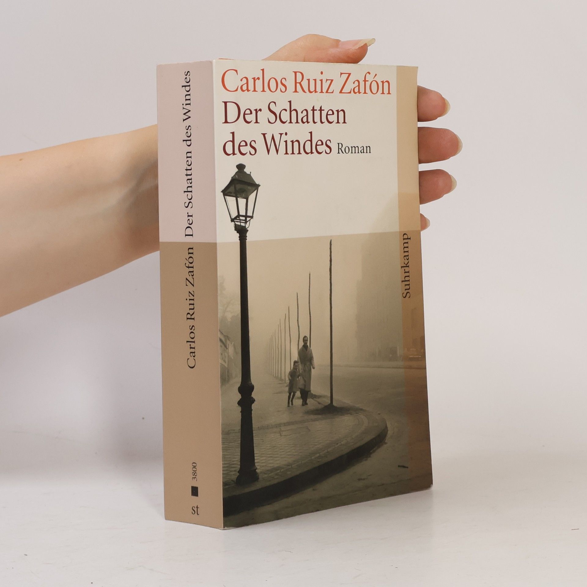 Carlos Ruiz Safon Der Schatten des Windes