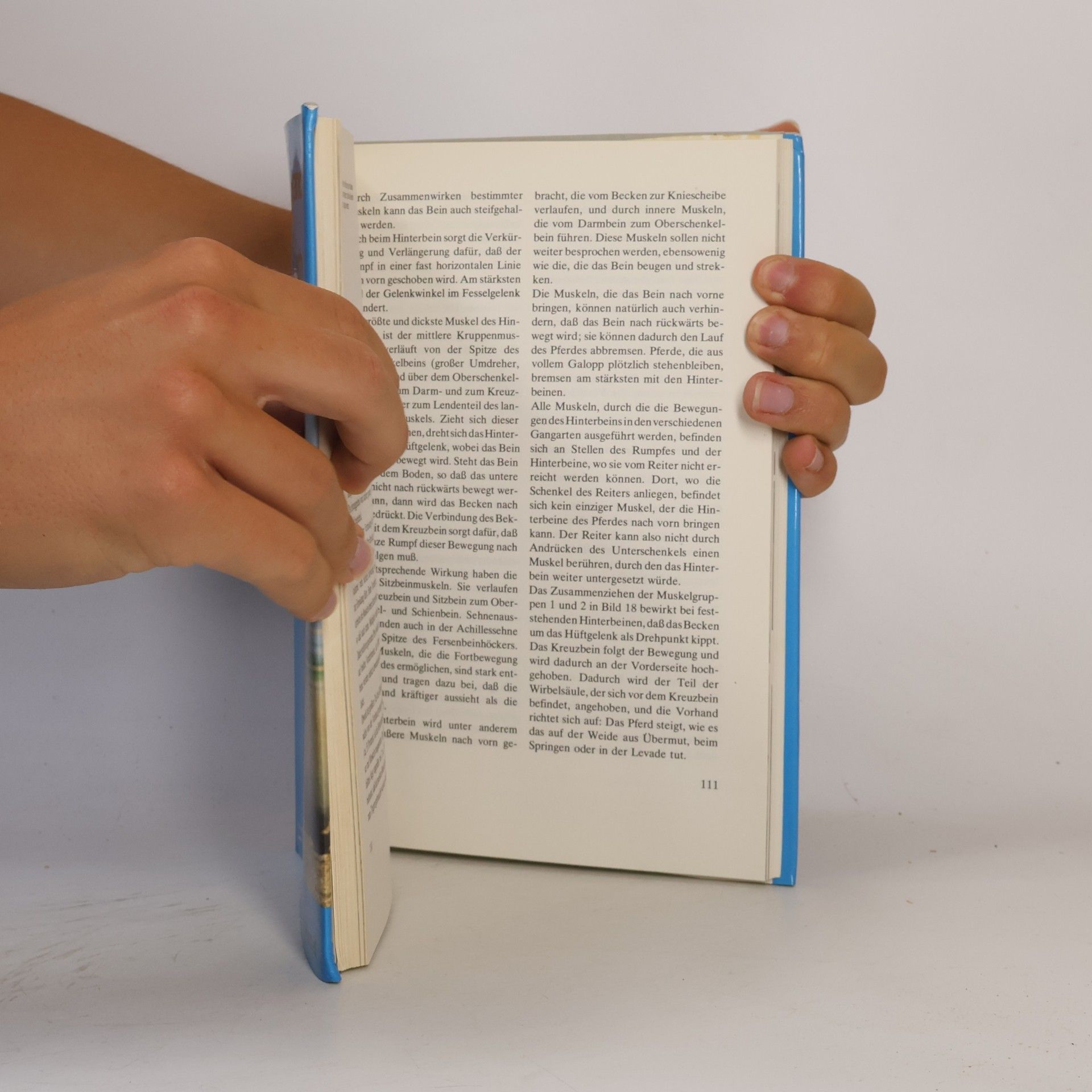 Hugo Treffers Hippologische Handbibliothek: Handbuch des Pferdeverhaltens