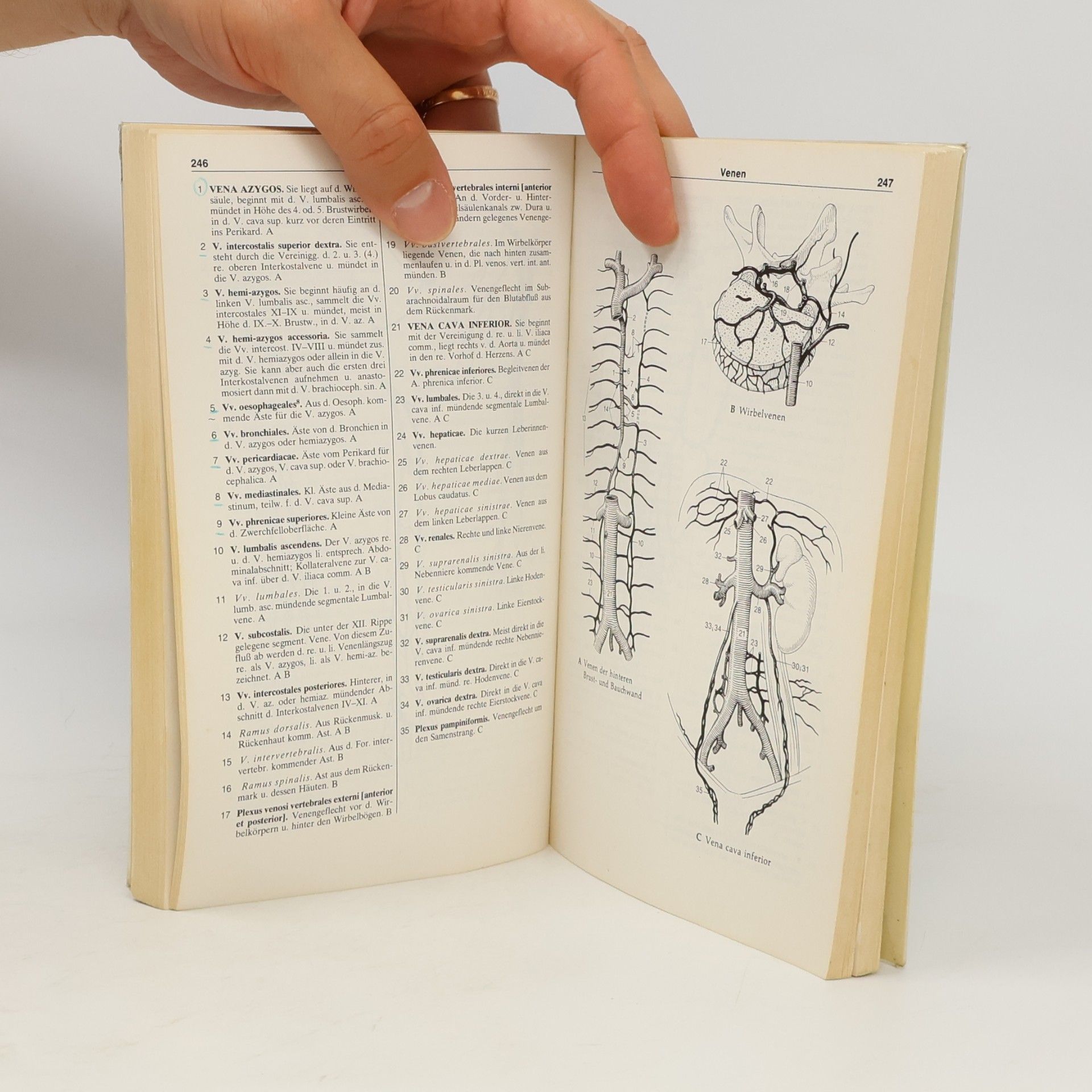 Heinz Feneis Anatomisches Bildwörterbuch der internationalen Nomenklatur