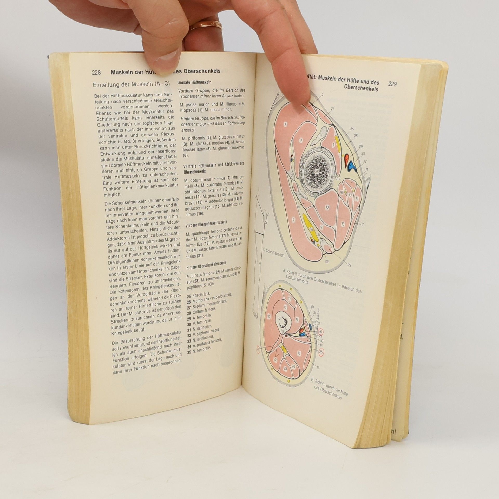 Werner Platzer Platzer Taschenatlas der Anatomie I