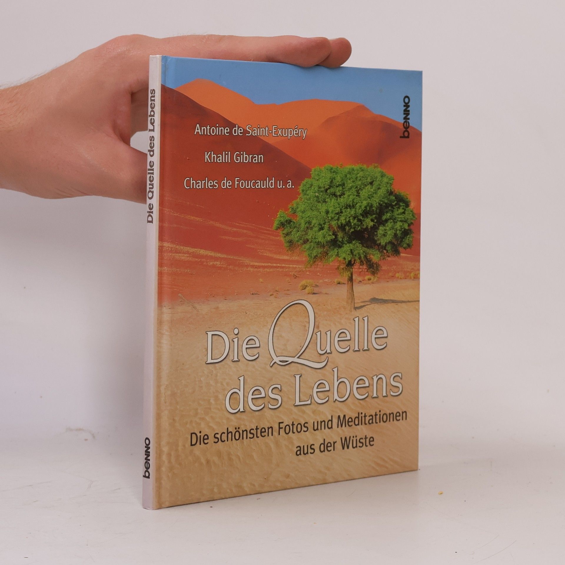 Die Quelle des Lebens: Die schönsten Fotos und Meditationen aus der Wüste