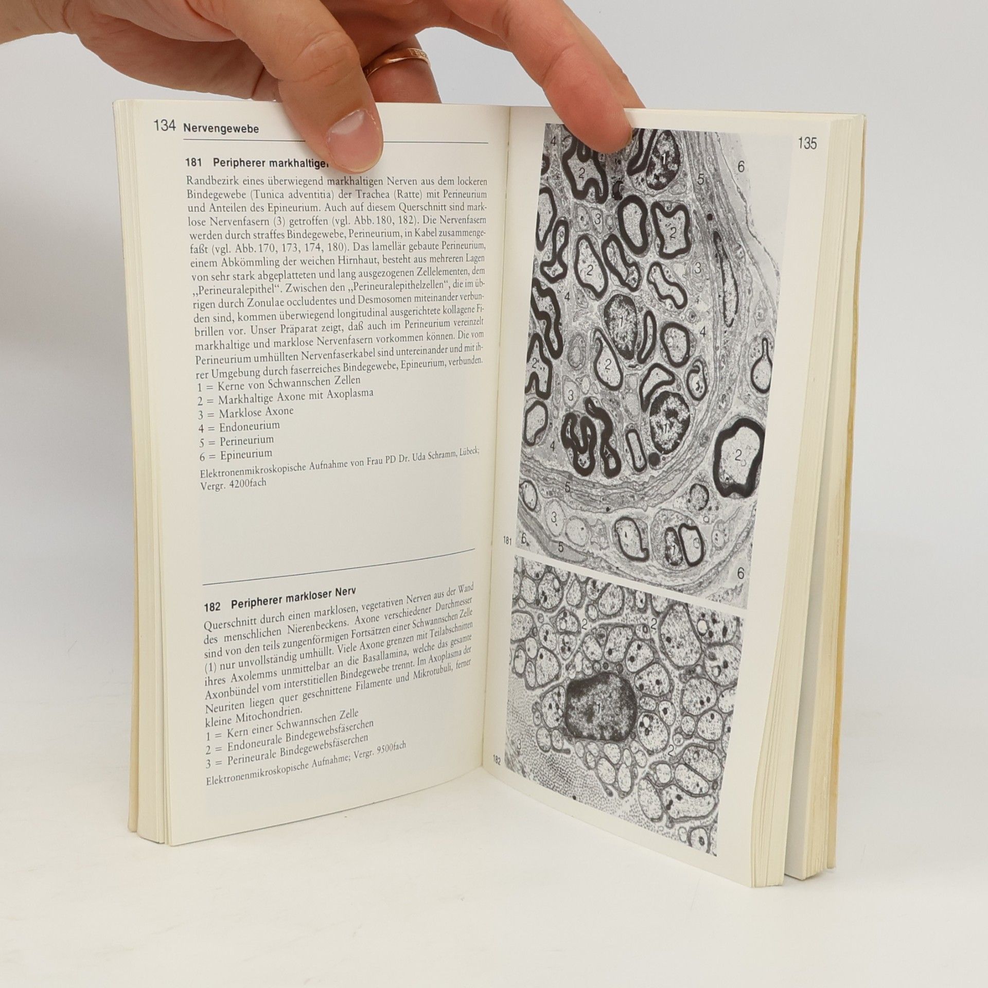 Wolfgang Kühnel Taschenatlas der Zytologie und mikroskopischen Anatomie