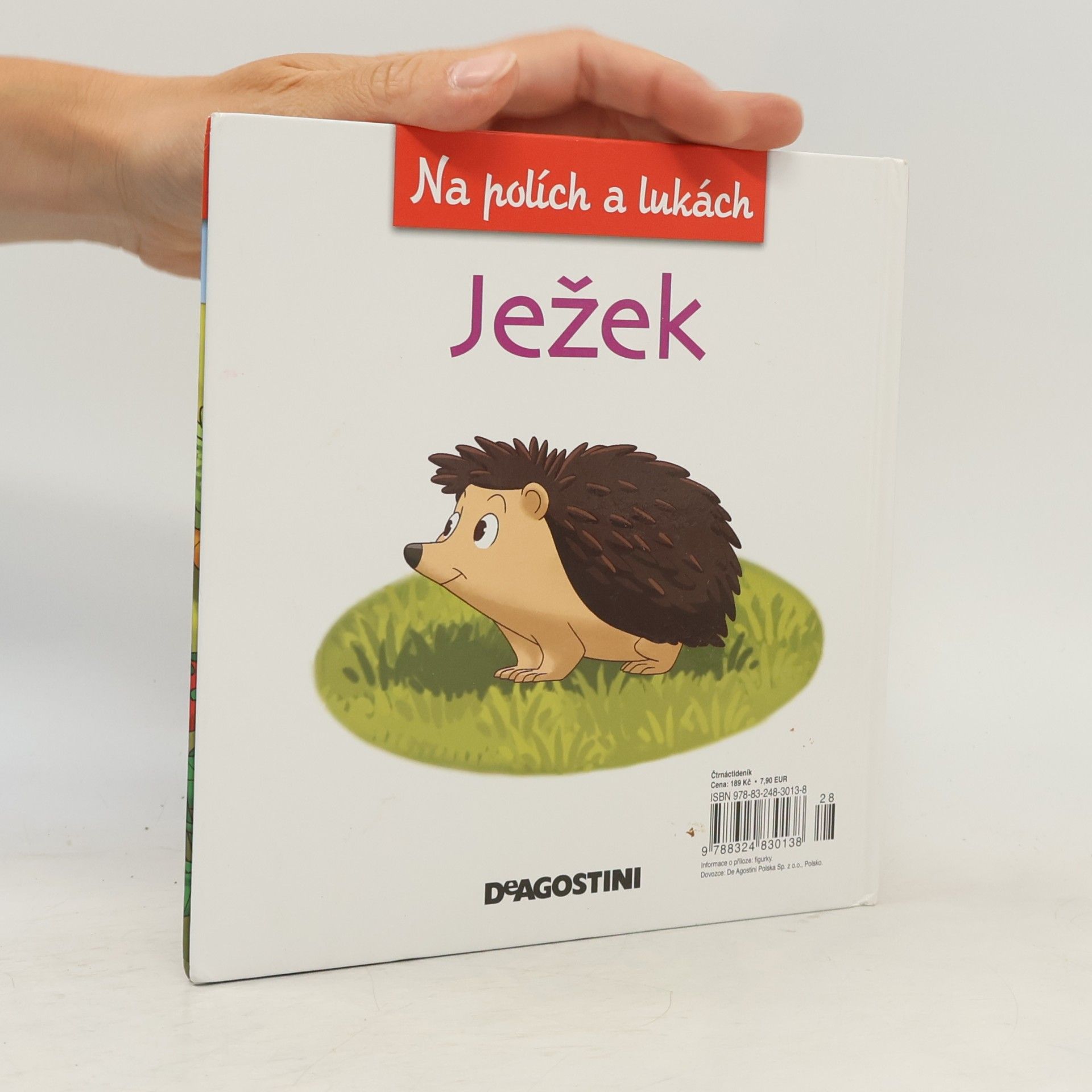 Autores varios Na polích a lukách 11. Ježek