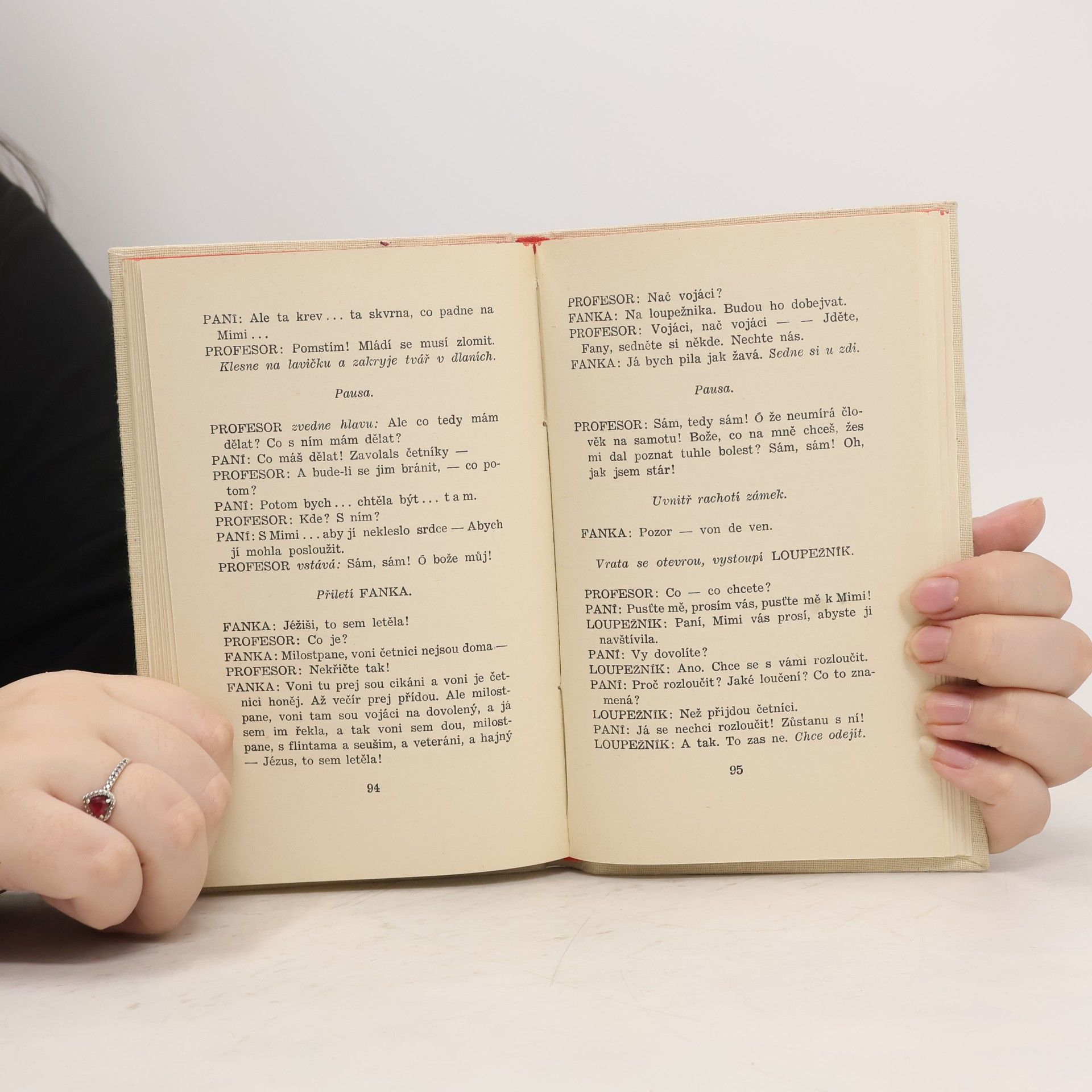 Karel Čapek Loupežník
