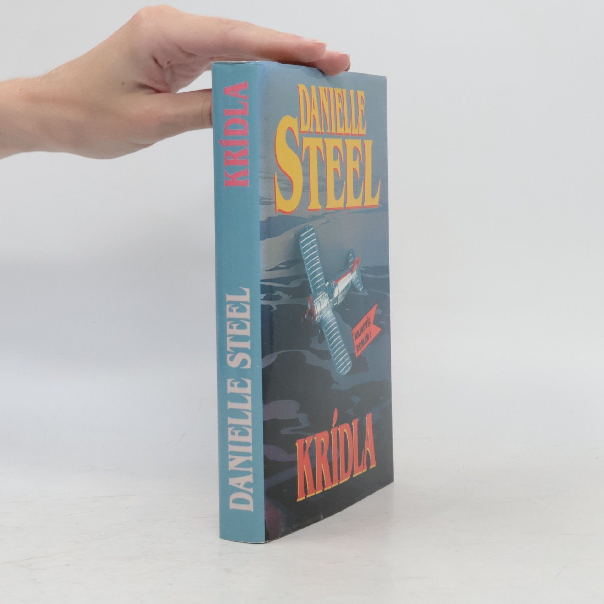 Danielle Steel Krídla