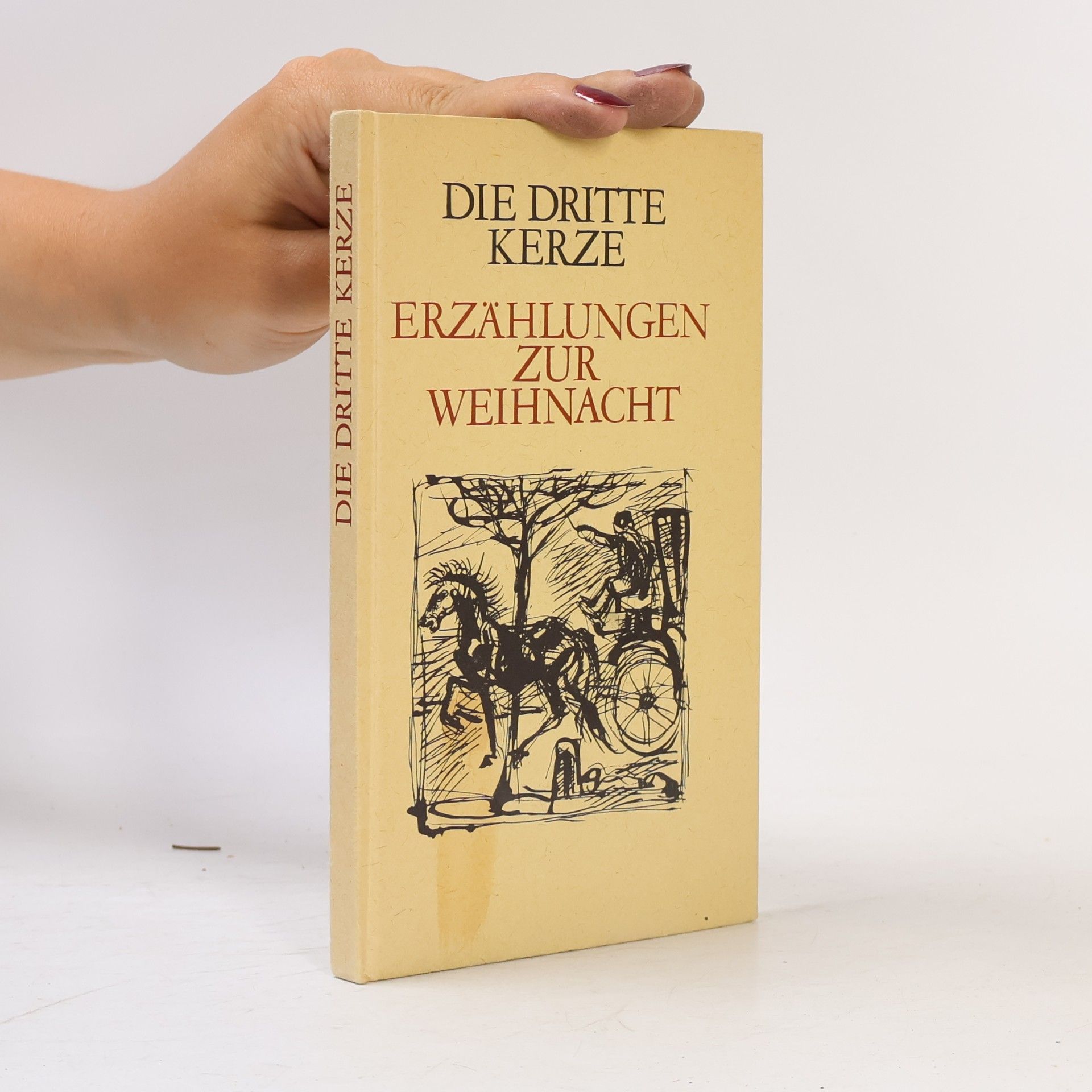 Autores varios Die dritte Kerze. Erzählungen zur Weihnacht