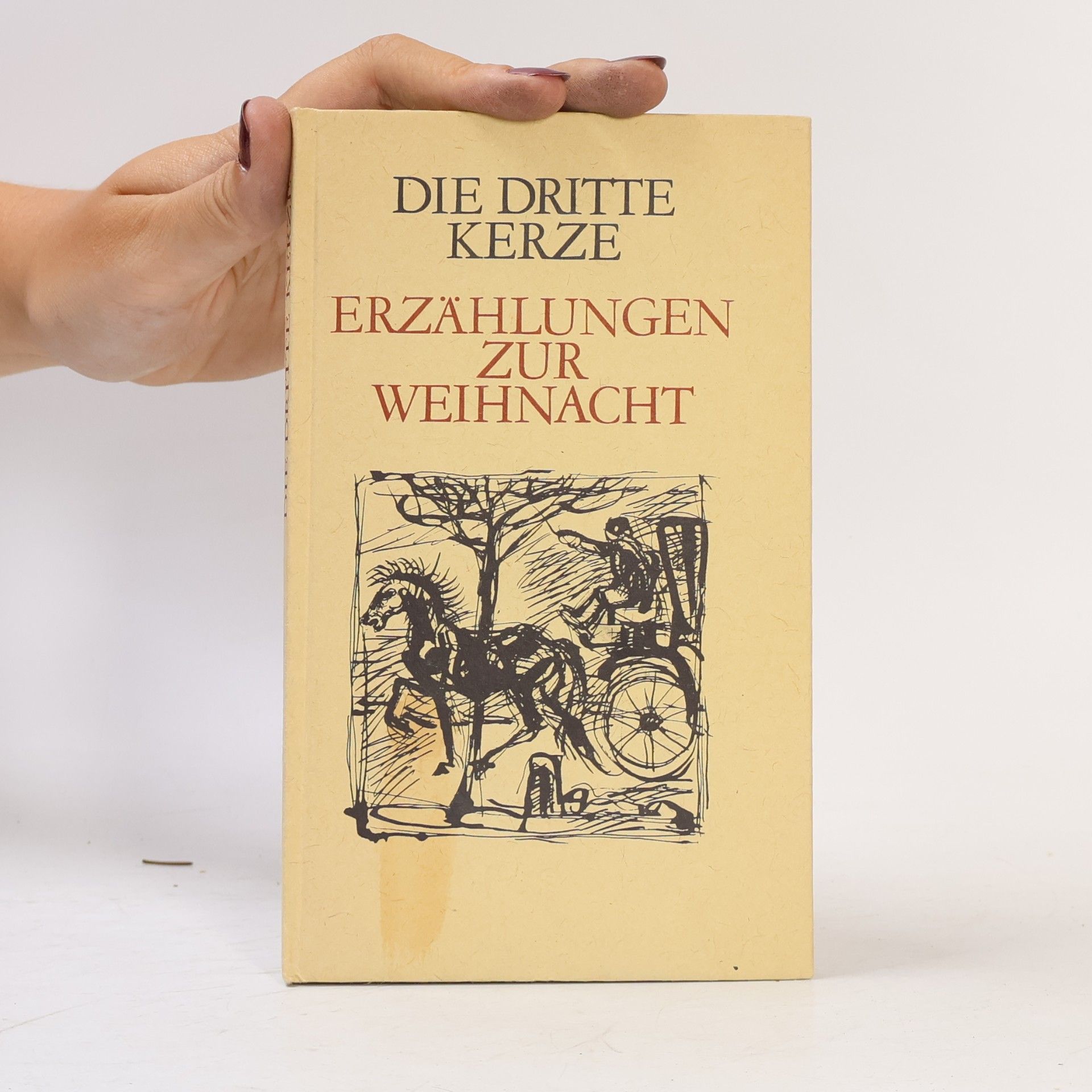 Autores varios Die dritte Kerze. Erzählungen zur Weihnacht
