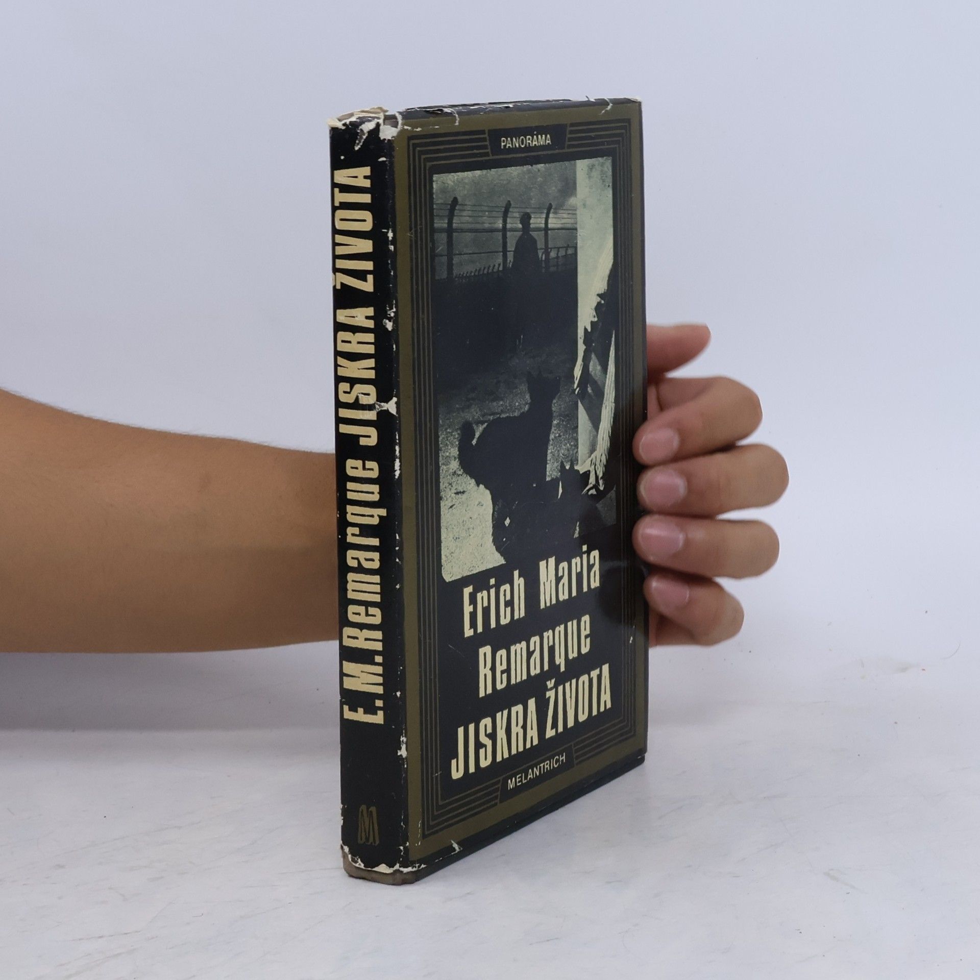 Erich Maria Remarque Jiskra života
