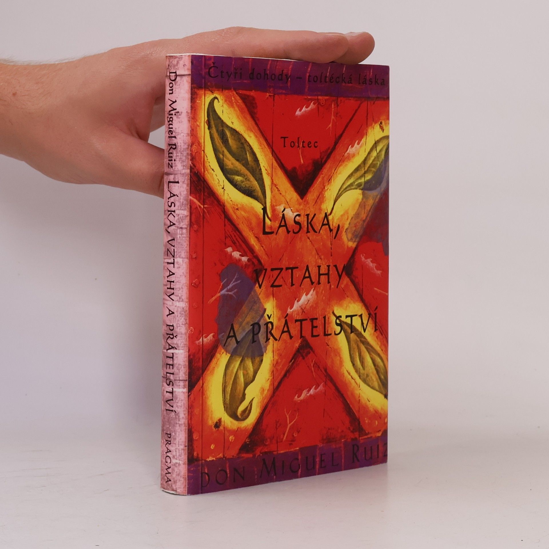 Don Miguel Ruiz Láska, vztahy a přátelství