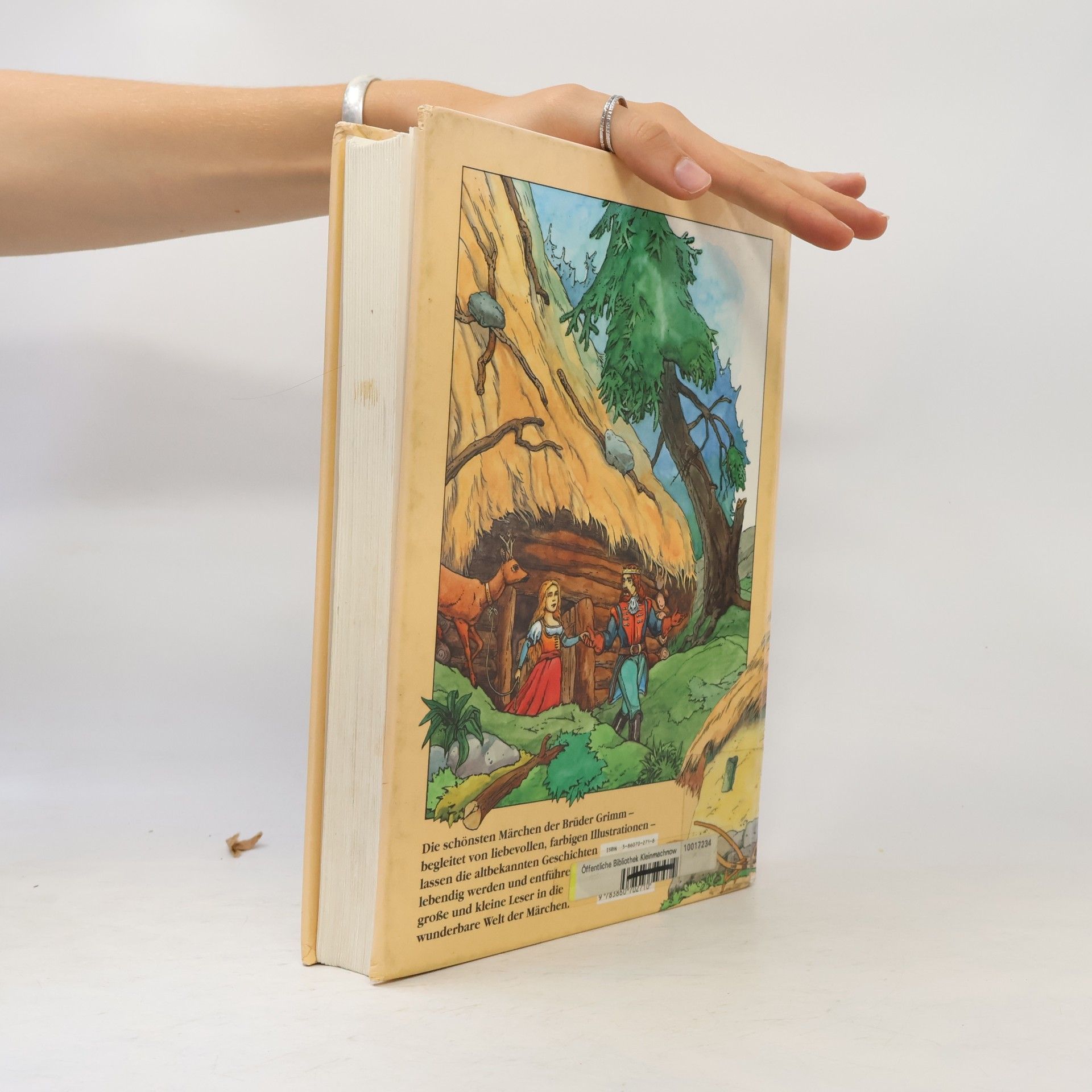 Jacob Grimm Die schönsten Märchen in Farbe