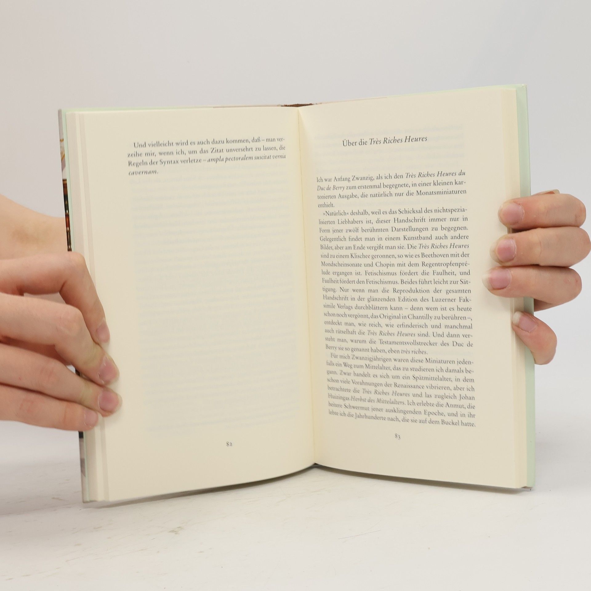 Umberto Eco Die Kunst des Bücherliebens