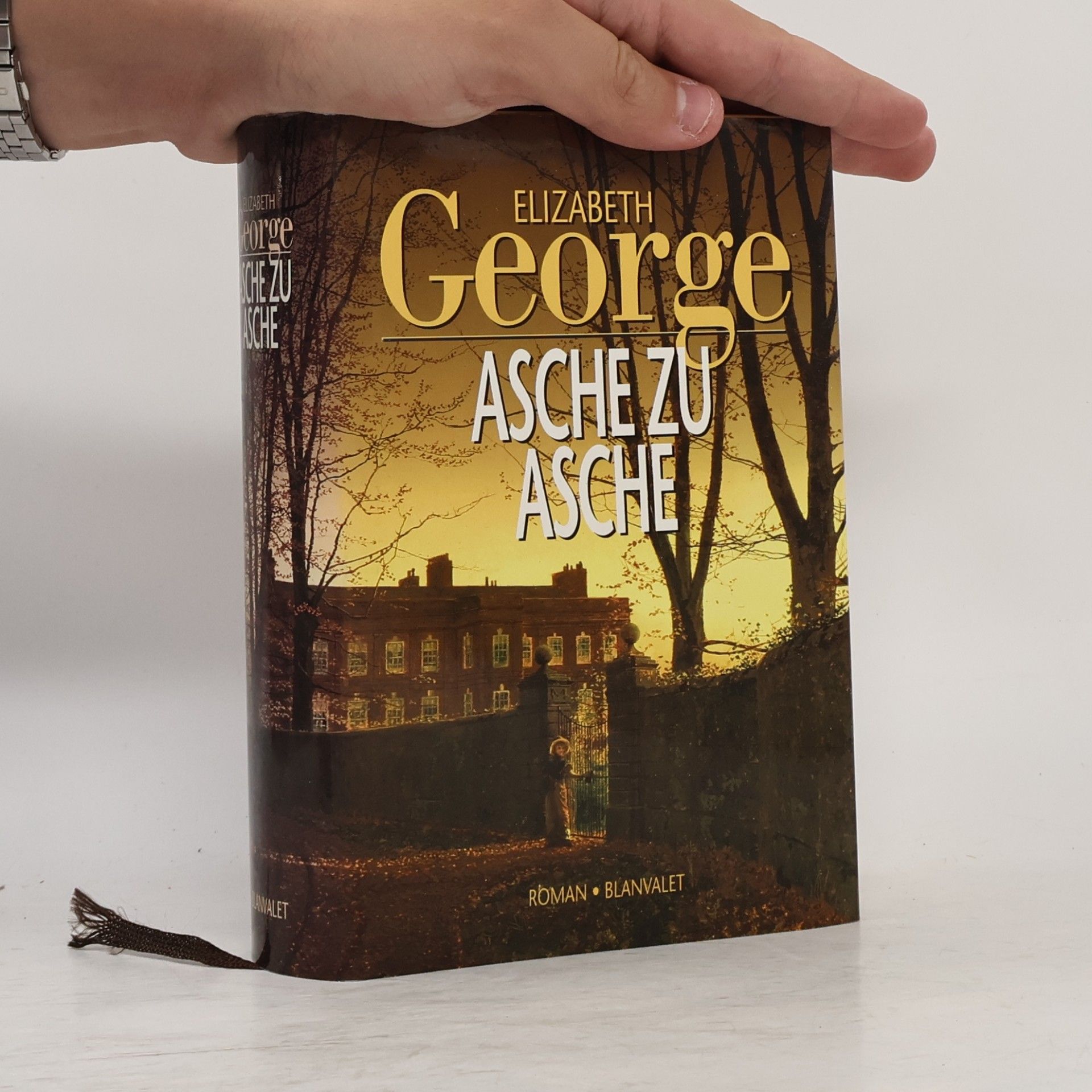 Elizabeth George Asche zu Asche