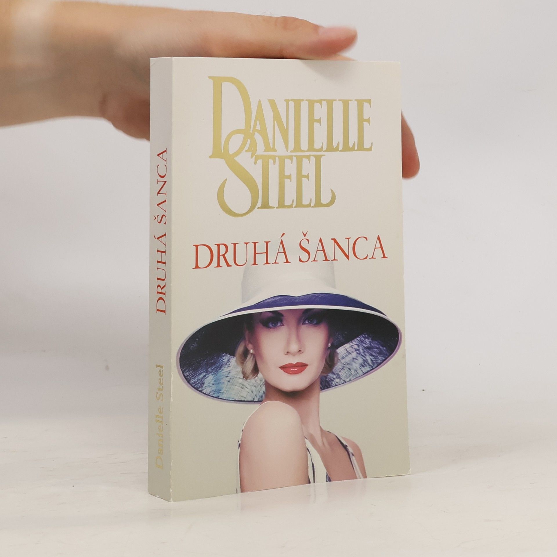 Danielle Steel Druhá šanca