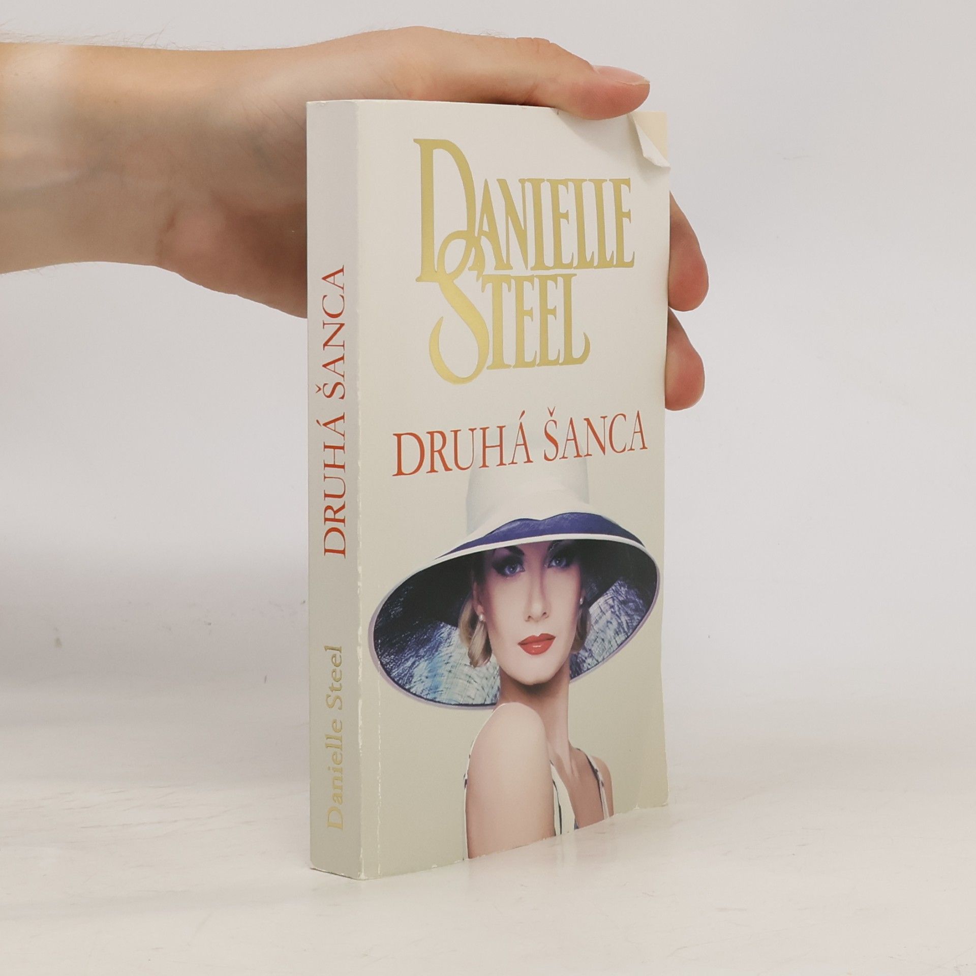 Danielle Steel Druhá šanca
