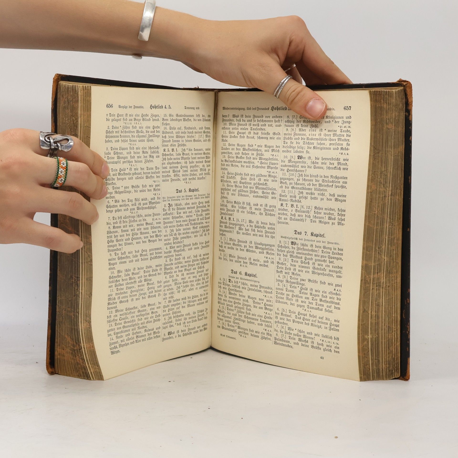kolektiv Die Heilige Schrift