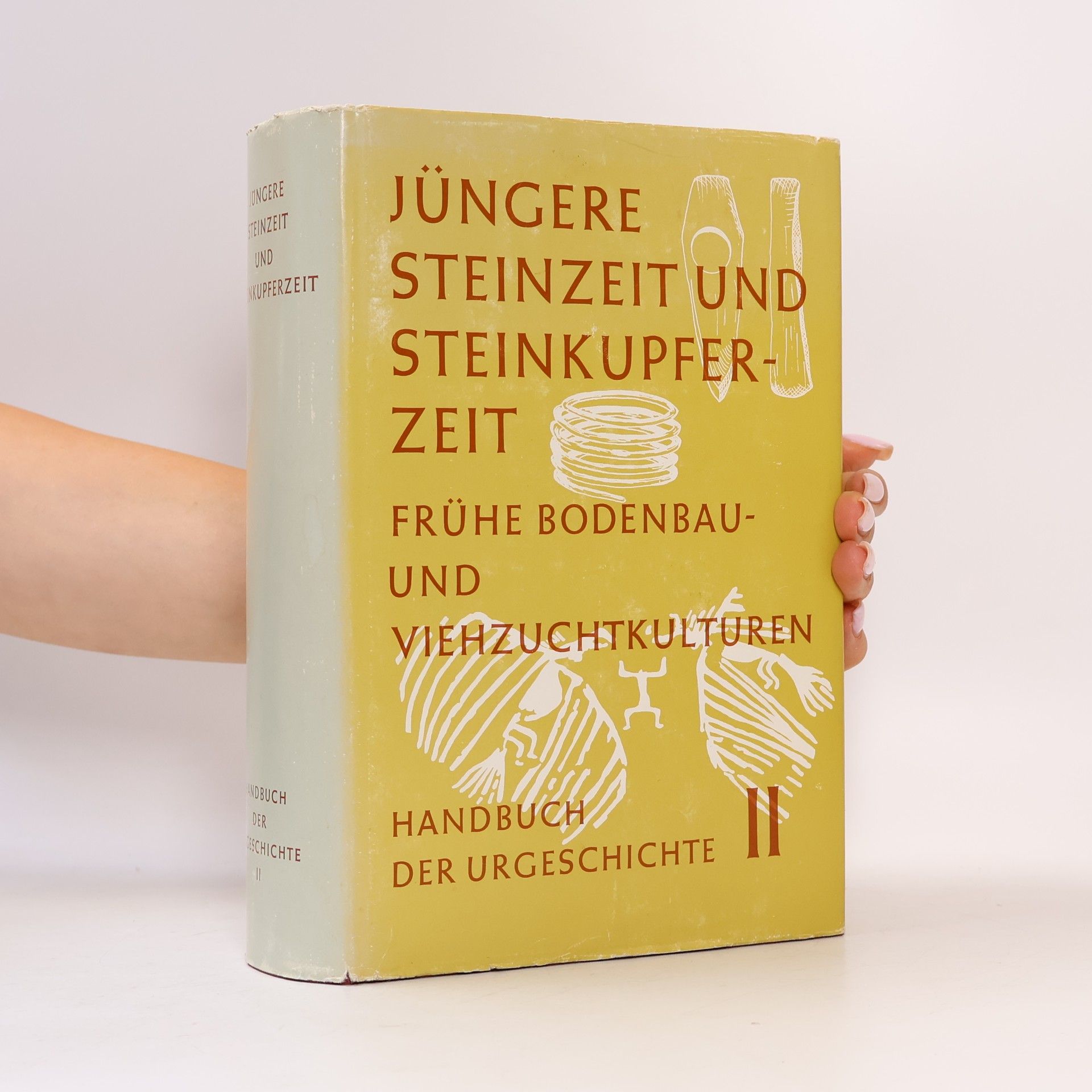 Jüngere Steinzeit und Steinkupferzeit: Frühe Bodenbau- und Viehzuchtkulturen