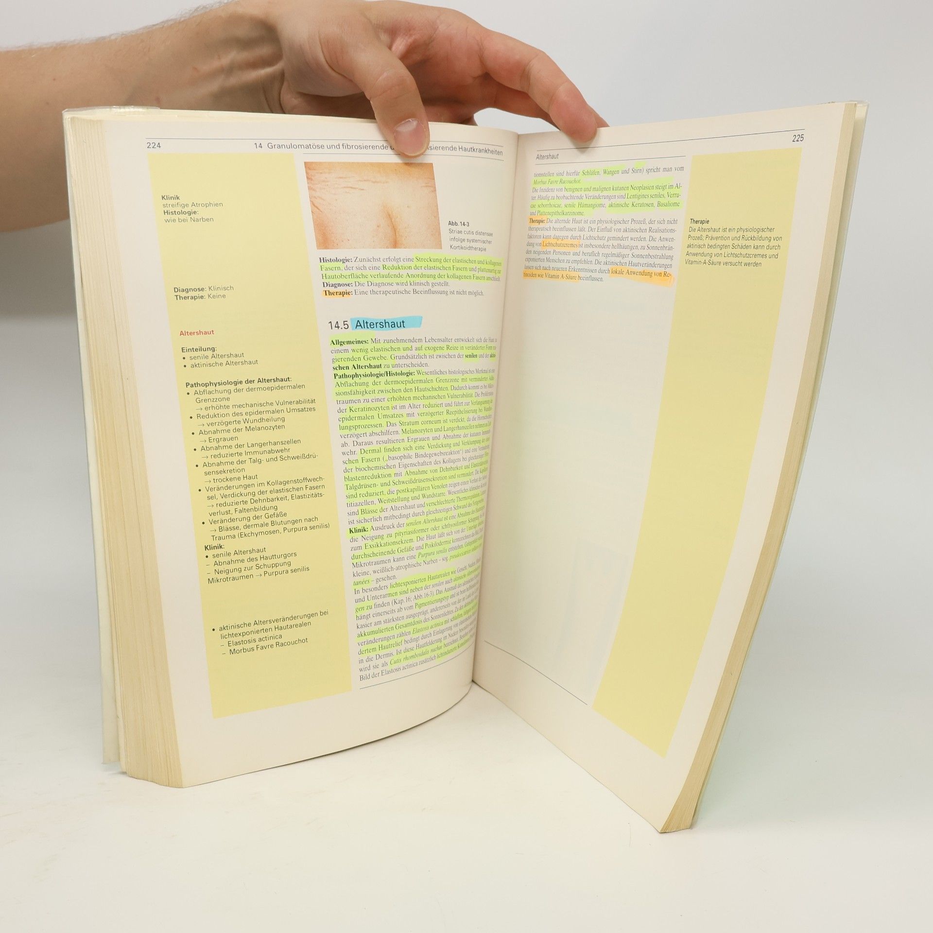 Beate Maria Henz De Gruyter Lehrbuch: Dermatologie und Venerologie mit Repetitorium