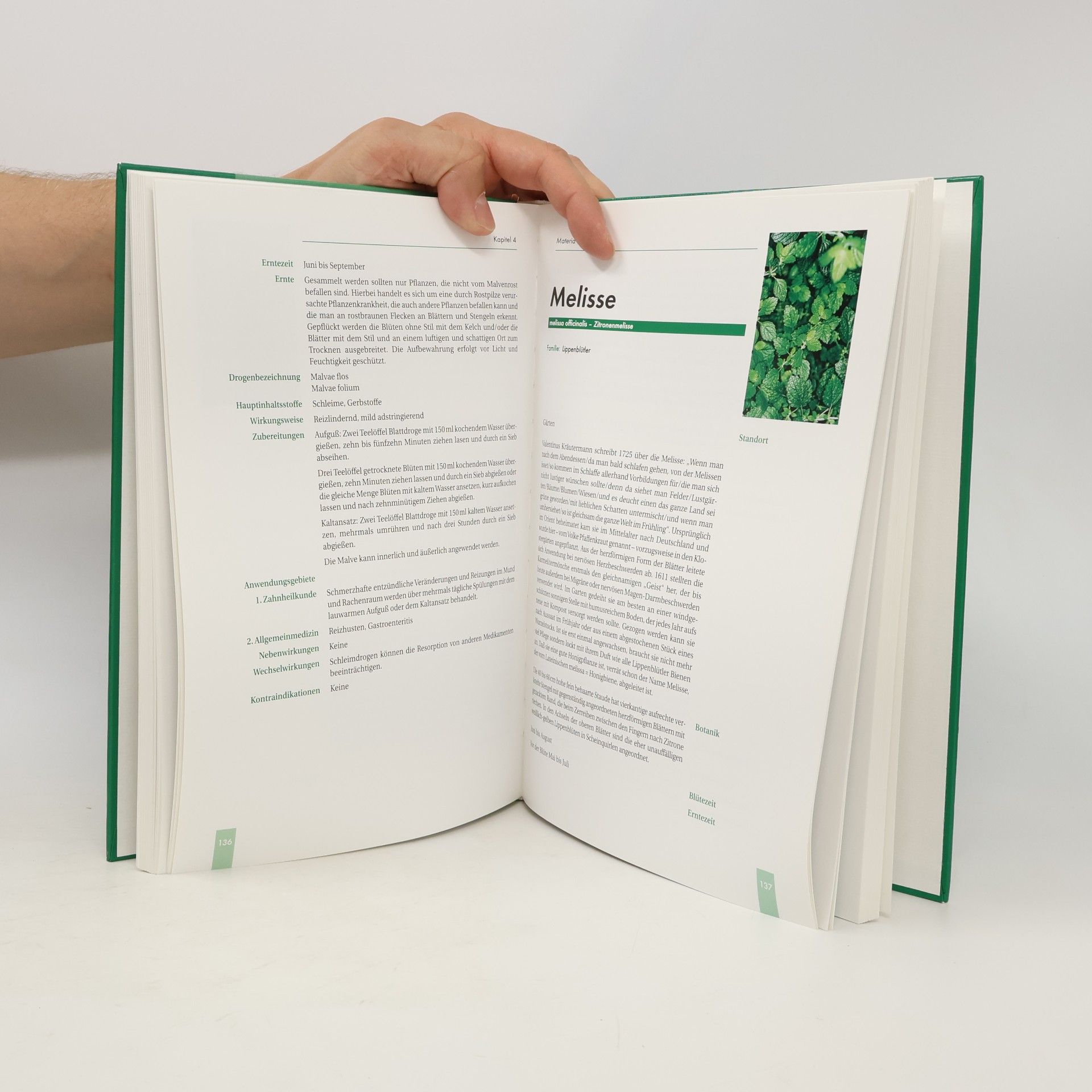 Bernd Chargé Praxis der Ganzheitlichen Medizin und Zahnmedizin: Phytotherapie für Zahnärzte