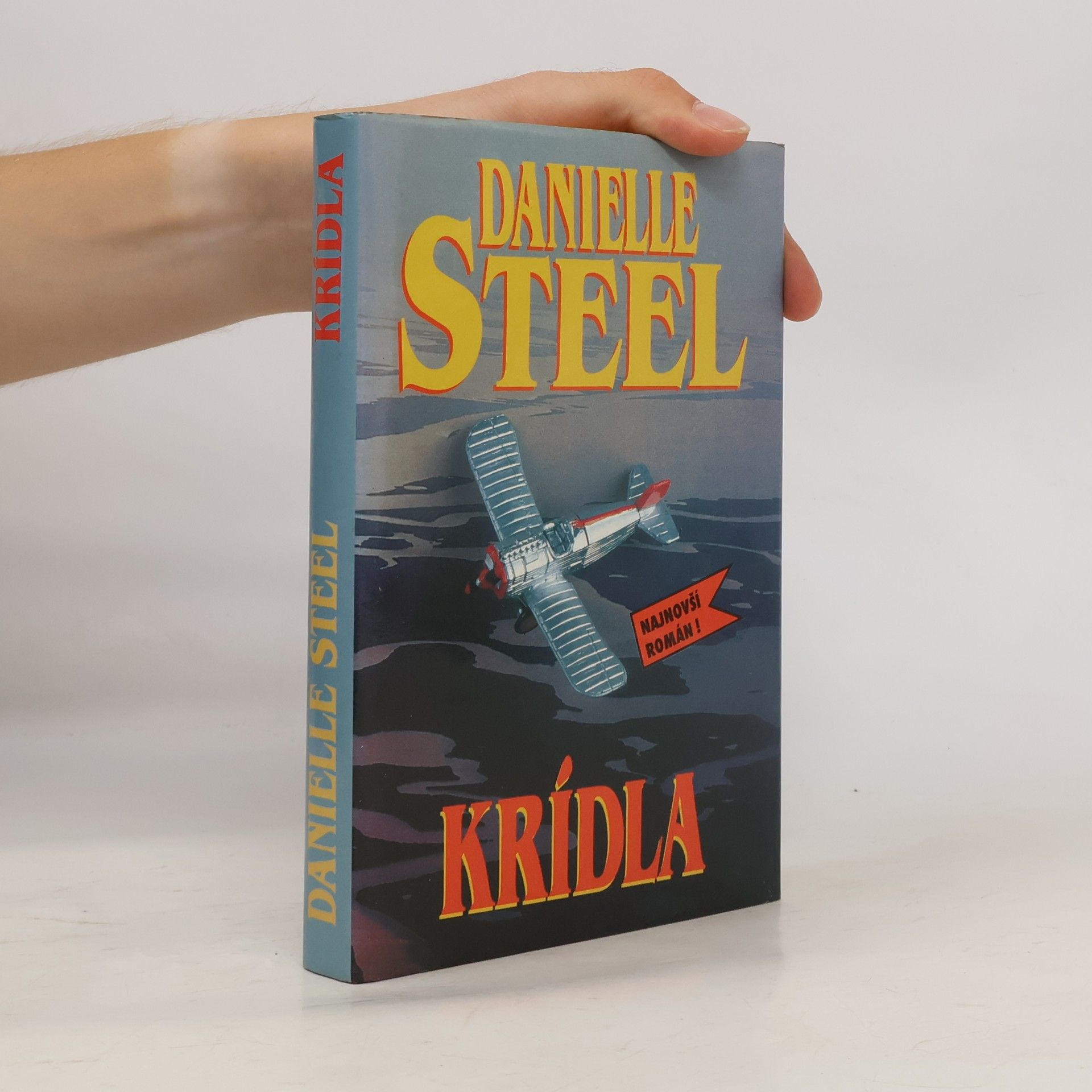 Danielle Steel Krídla