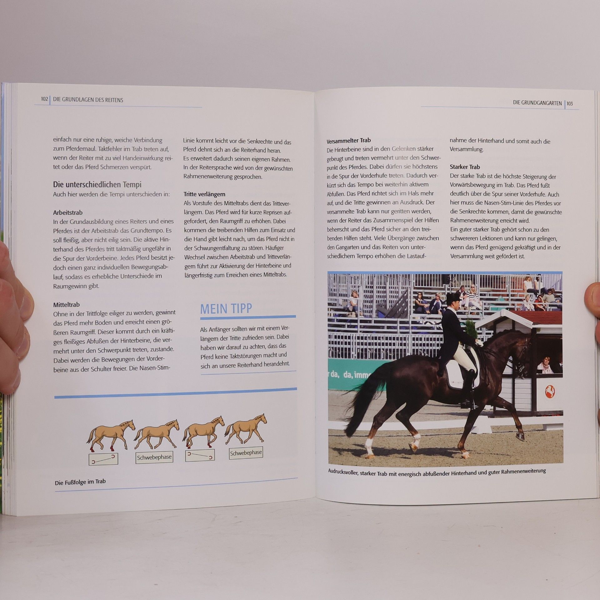 Kerstin Diacont Ausbalanciertes Reiten