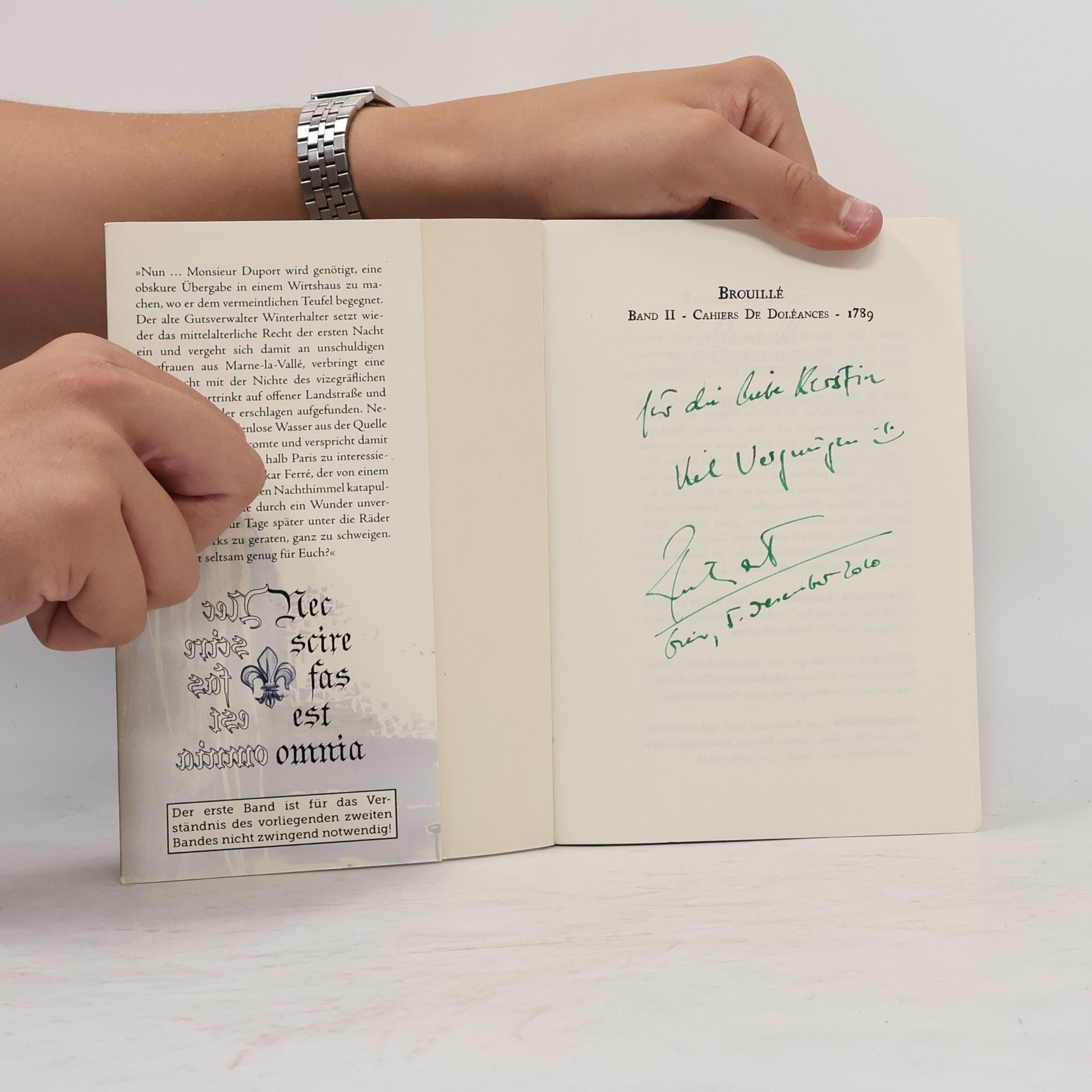 Richard K. Breuer Mosaik der Französischen Revolution - 2: Brouillé