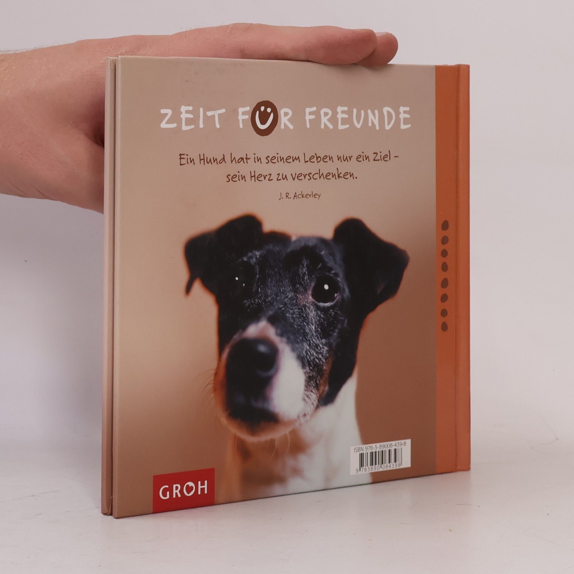 Nina Sandmann Für Hundefreunde