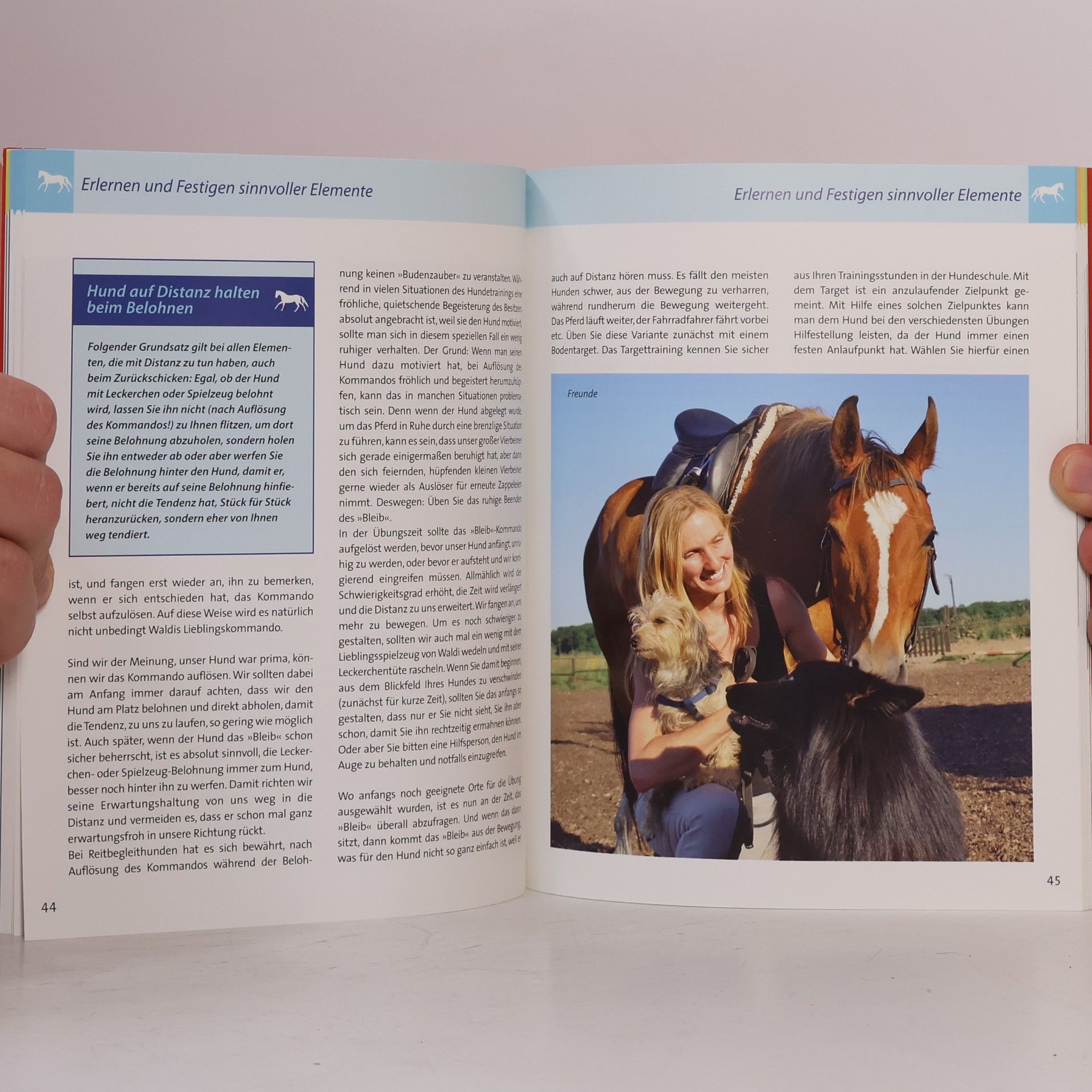 Karen Uecker Die Reitschule: Der Reitbegleithund