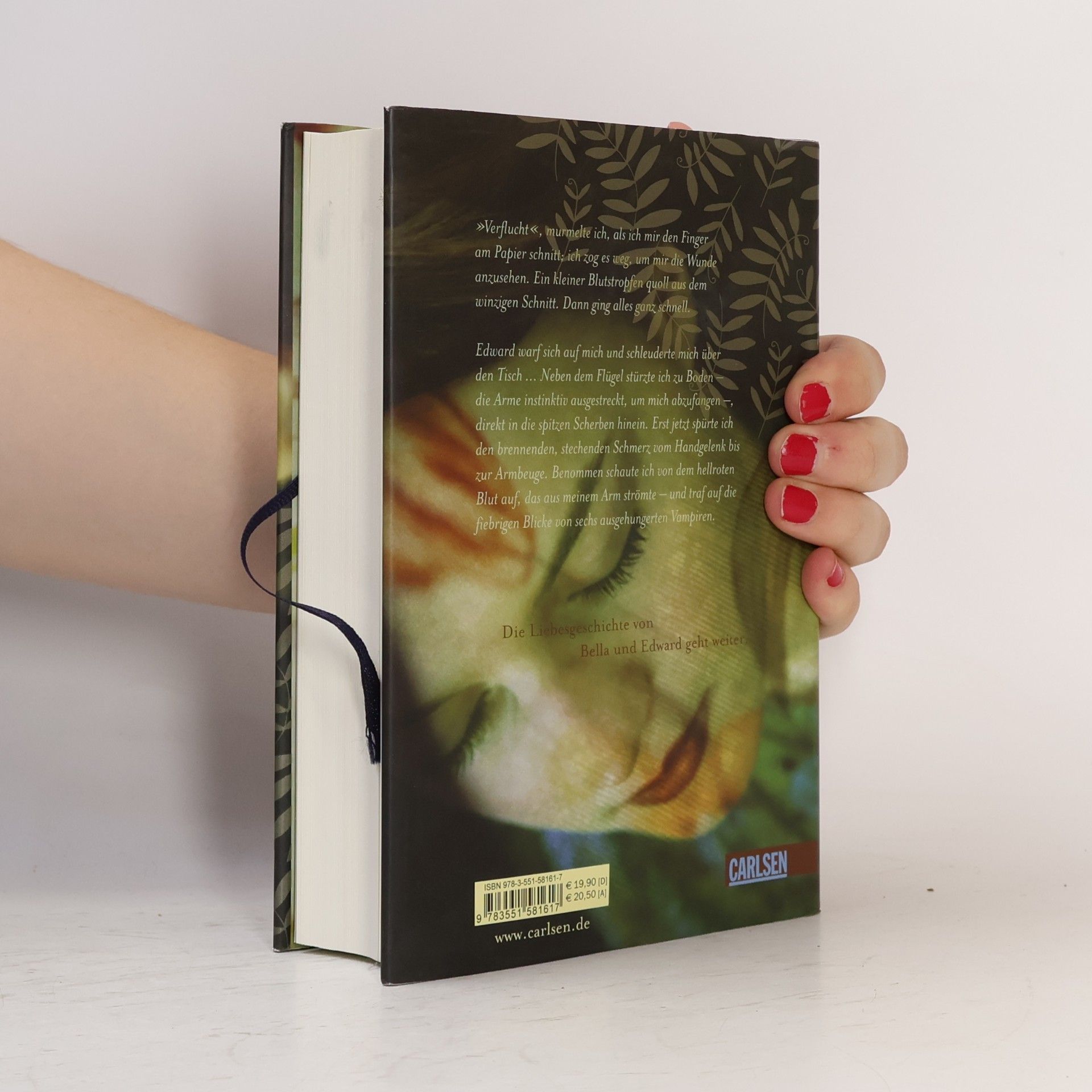 Stephenie Meyer Biss zur Mittagsstunde