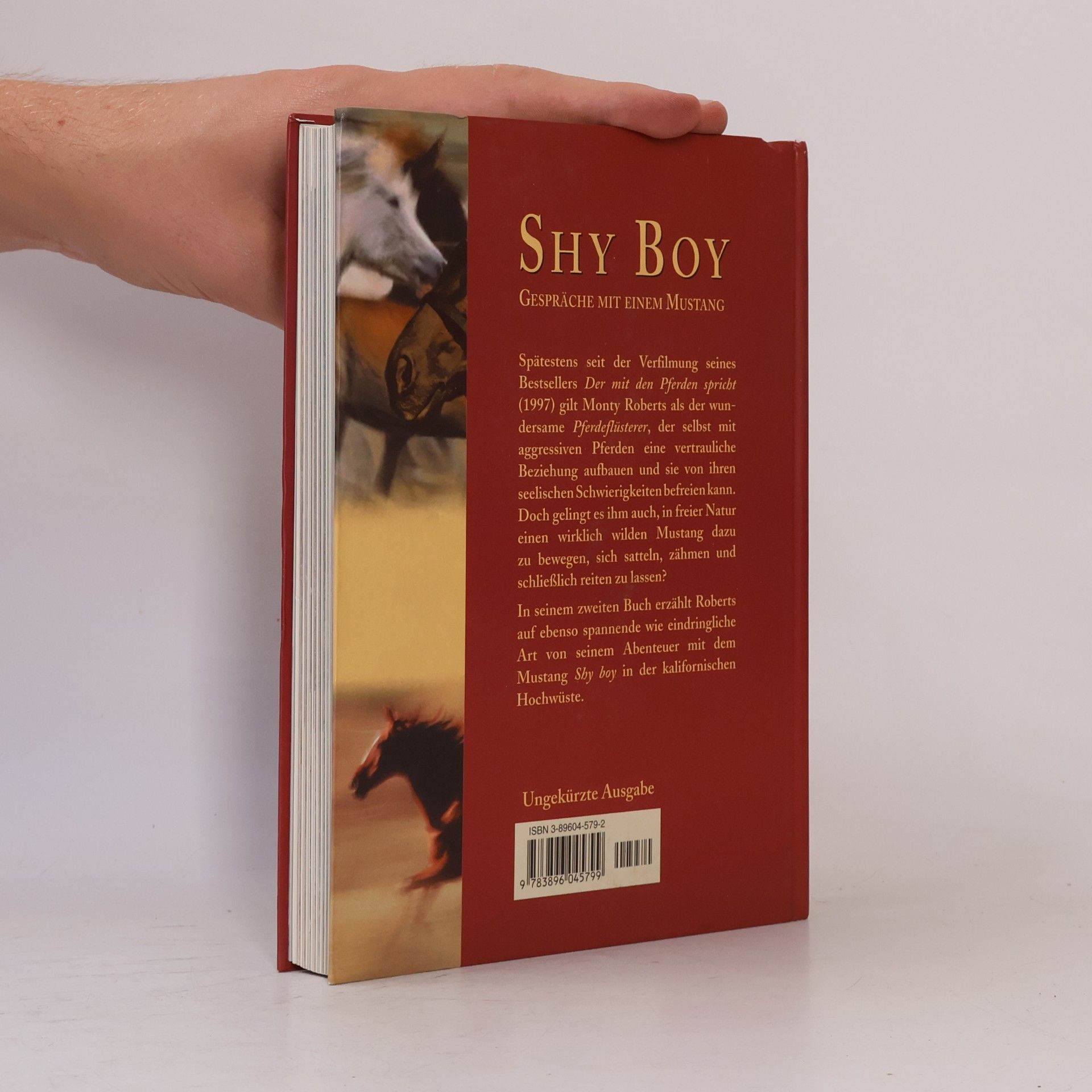 Monty Roberts Shy Boy