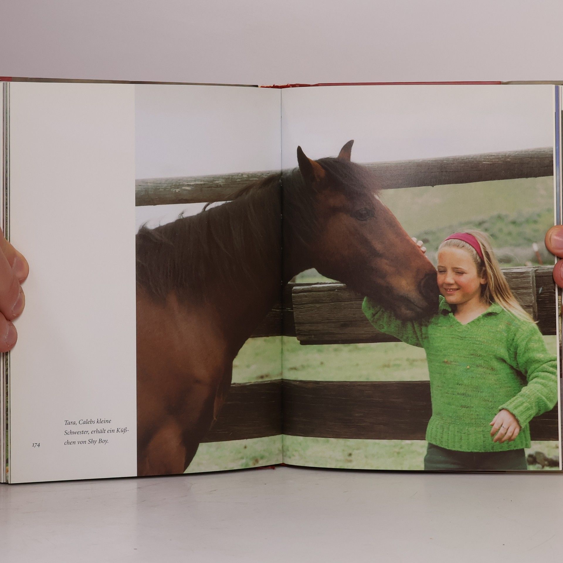 Monty Roberts Shy Boy
