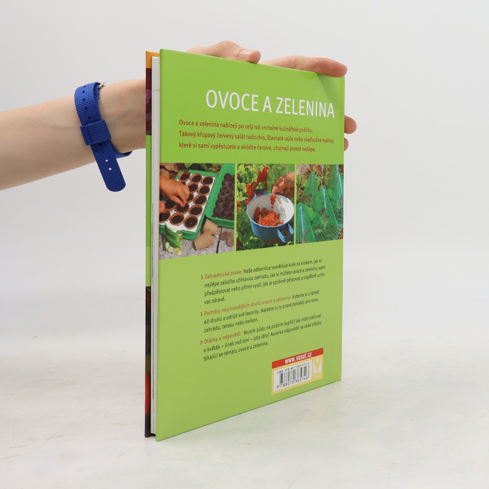 Renate Hudak Ovoce a zelenina